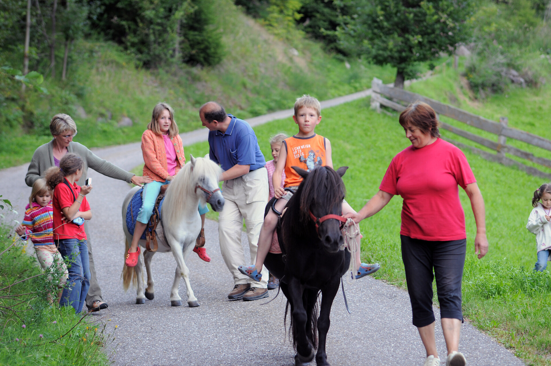 Pony