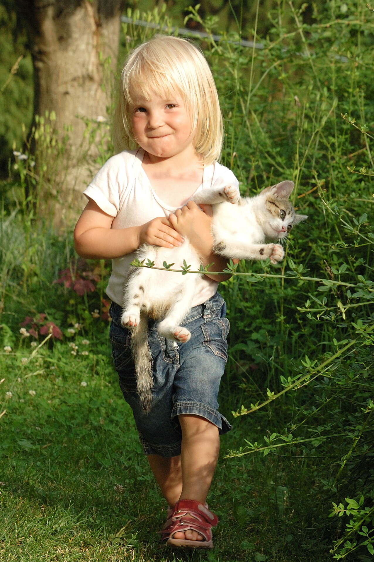 cat, i catch you