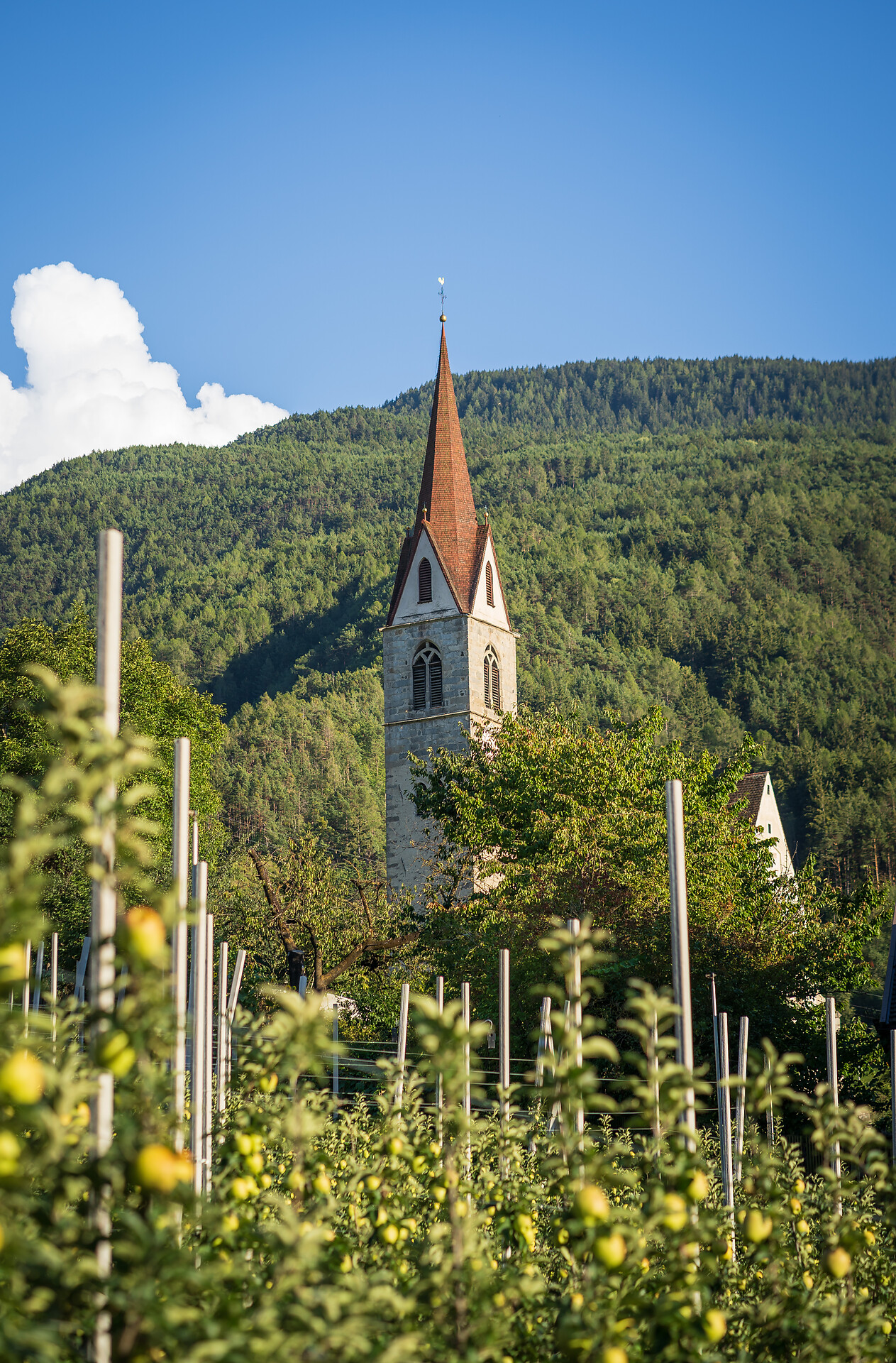 Unterhuberhof