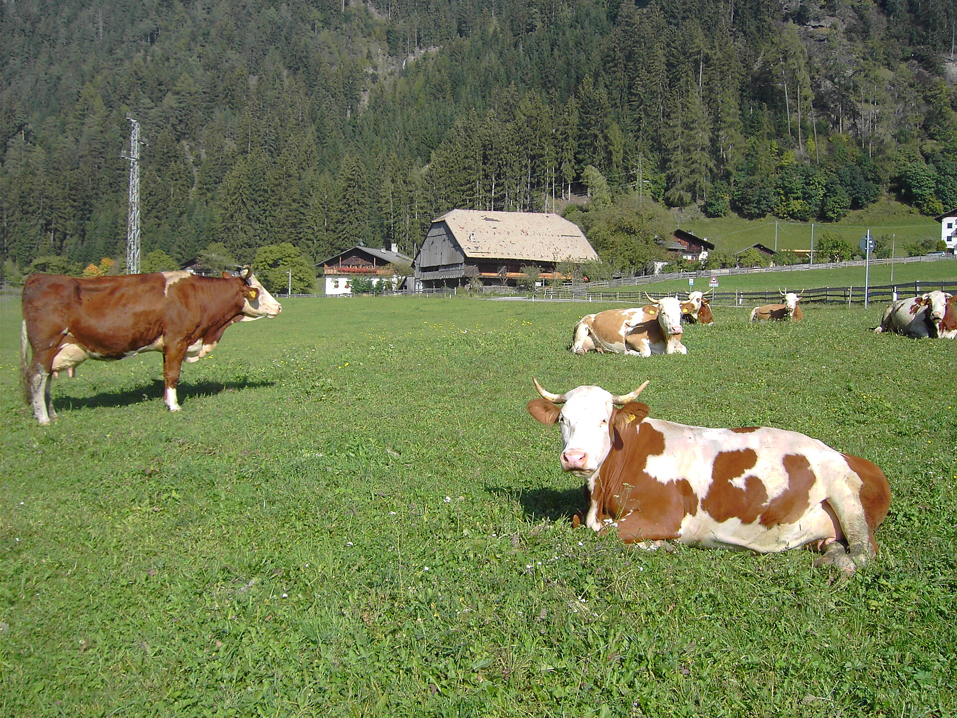 Agriturismo Fiechterhof Sarentino 3 suedtirol.info
