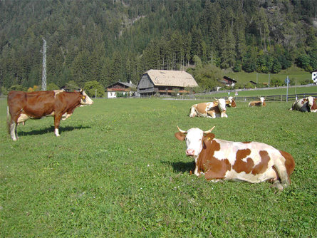 Urlaub auf dem Bauernhof Fiechterhof Sarntal 3 suedtirol.info