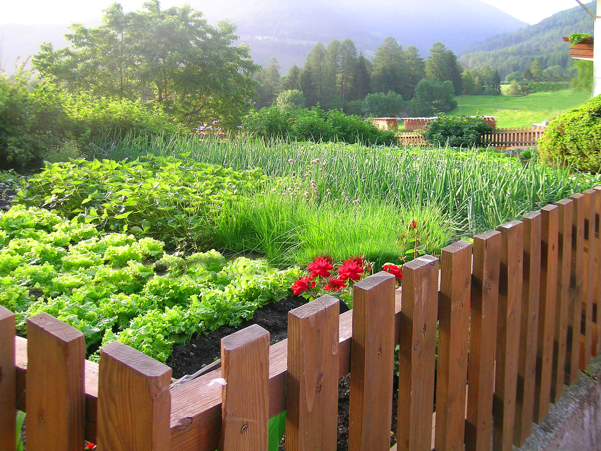 Apartment Unterguggenberghof vegetable and herb garden