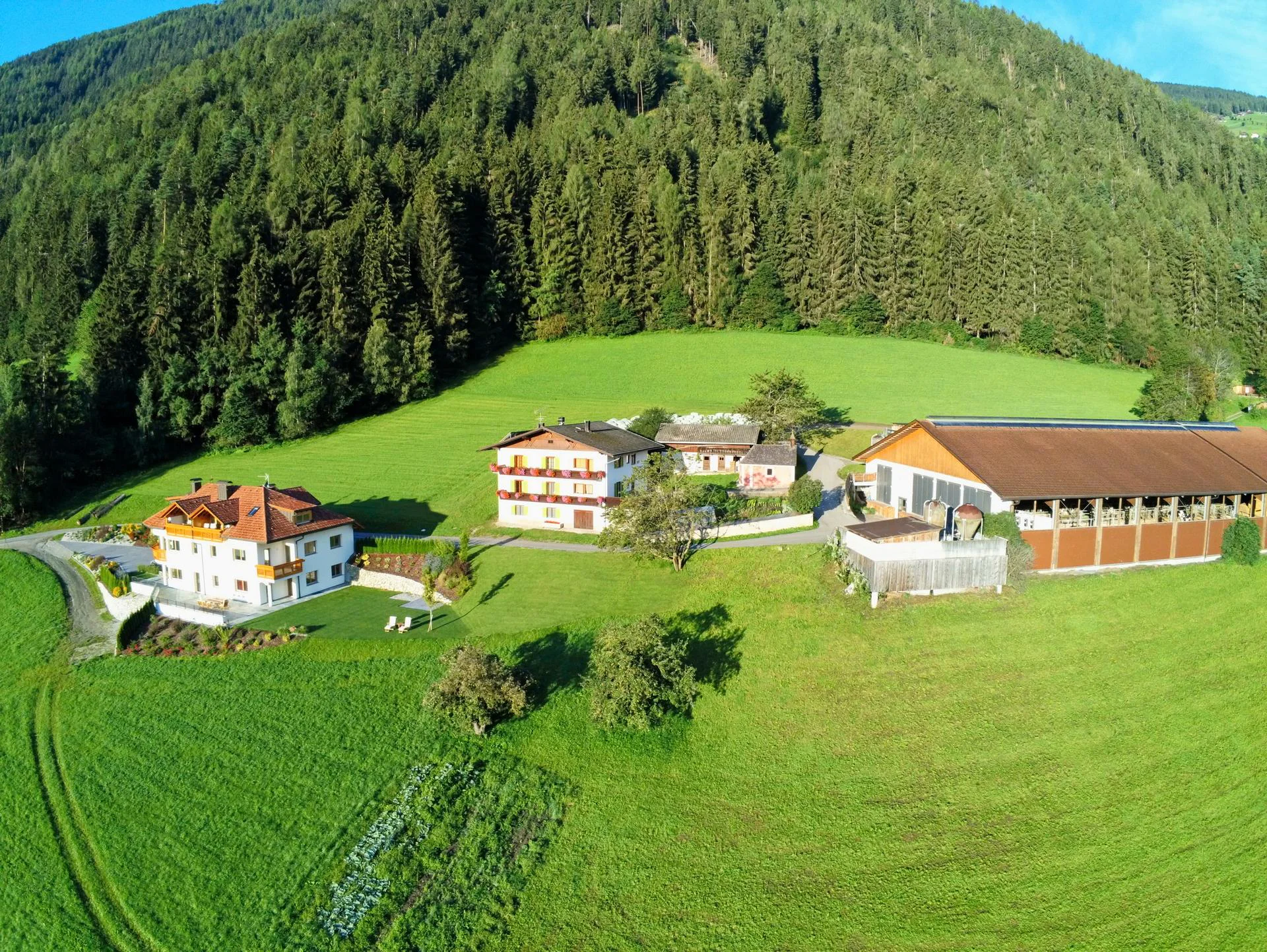 Unterguggenberghof San Lorenzo di Sebato 3 suedtirol.info