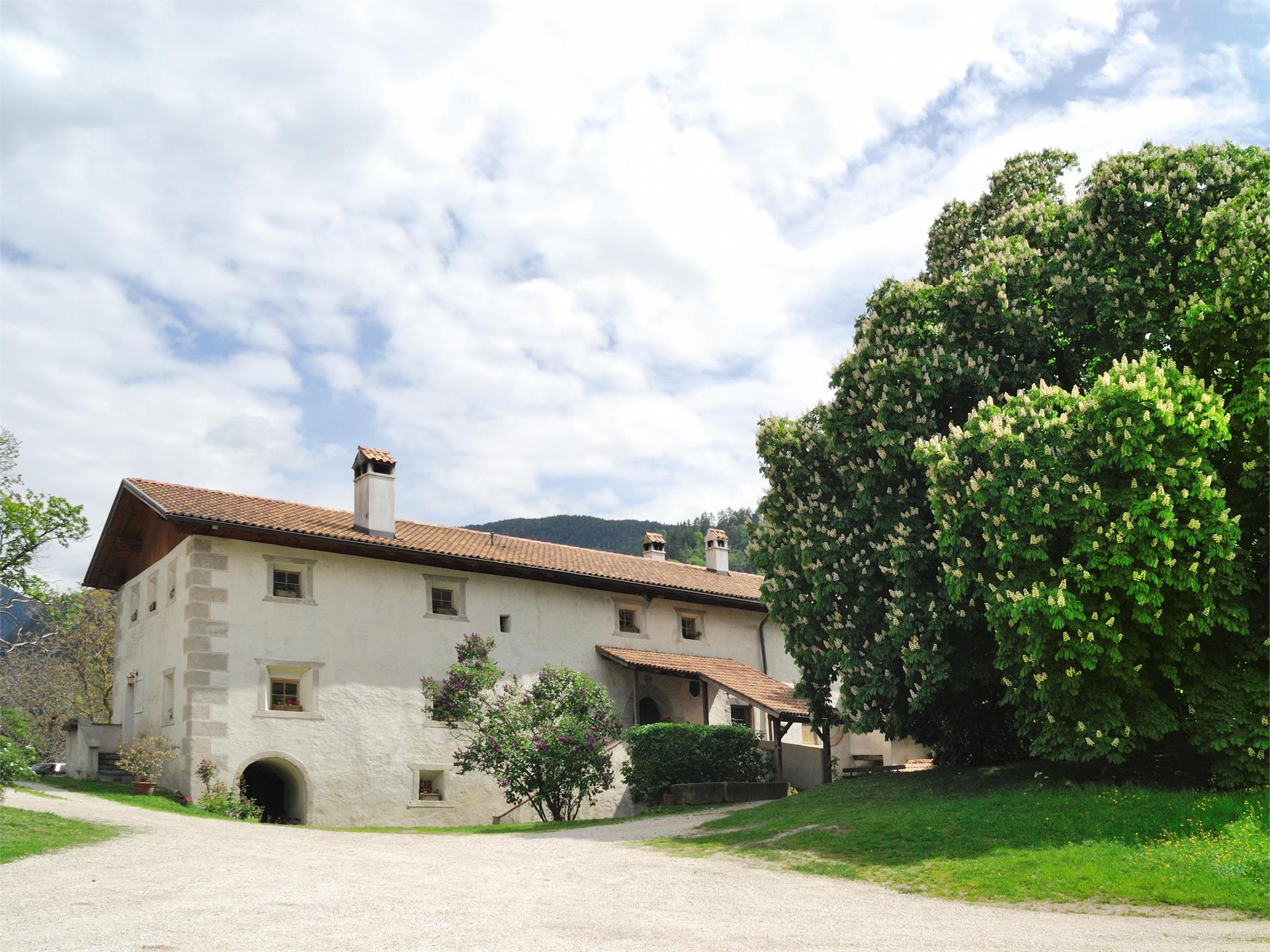 Unterfinser Hof Lajen 1 suedtirol.info