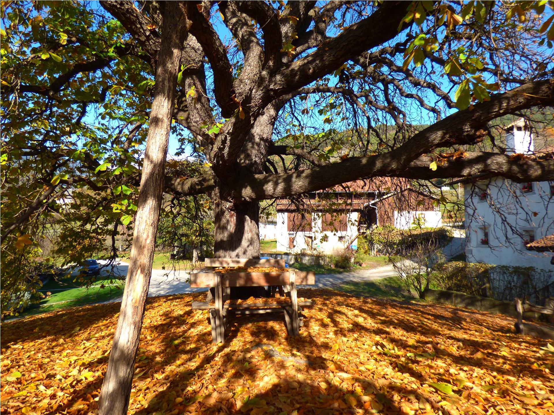 Unterfinser Hof Lajen 18 suedtirol.info