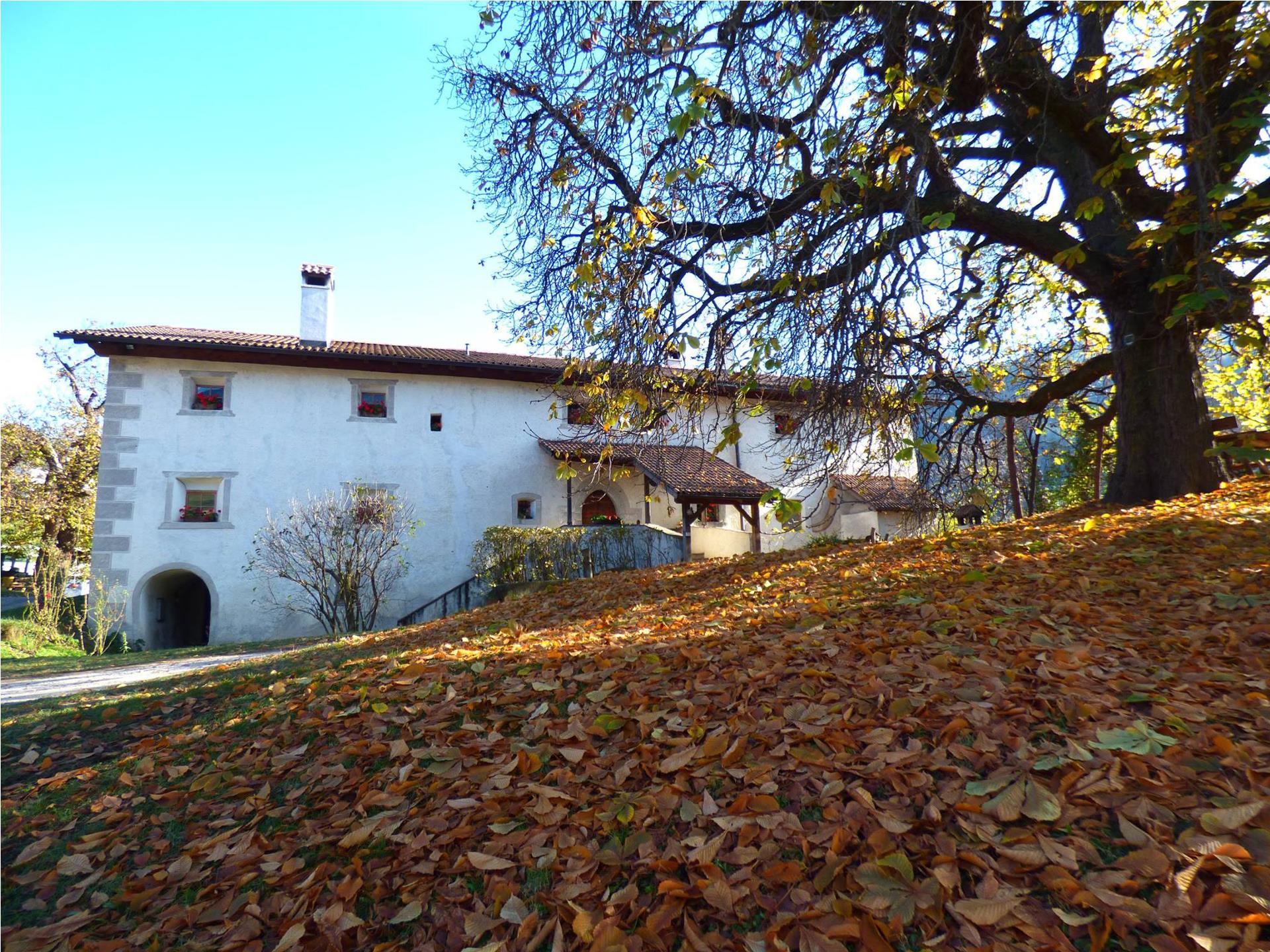 Unterfinser Hof Lajen 17 suedtirol.info