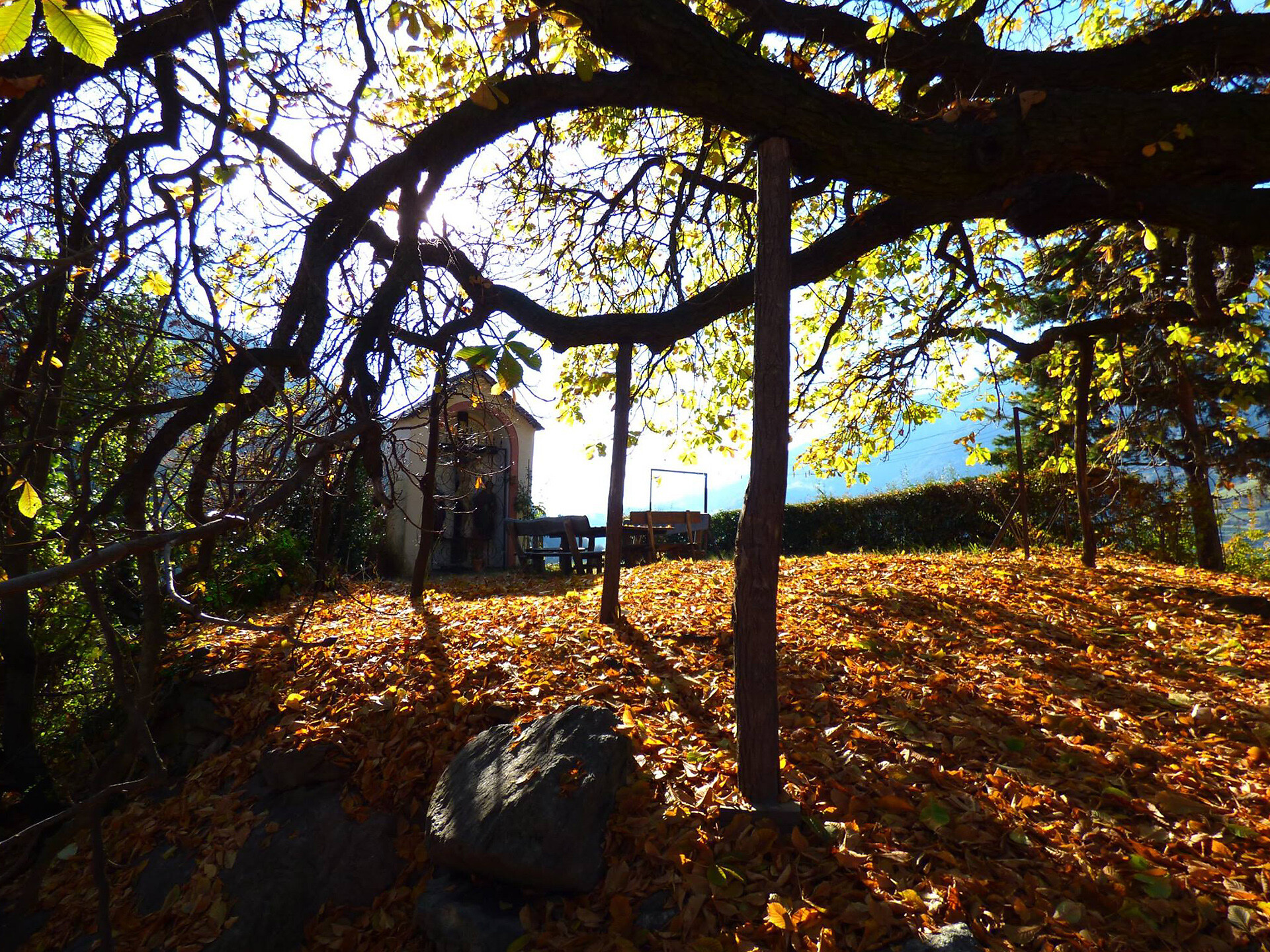 autumn