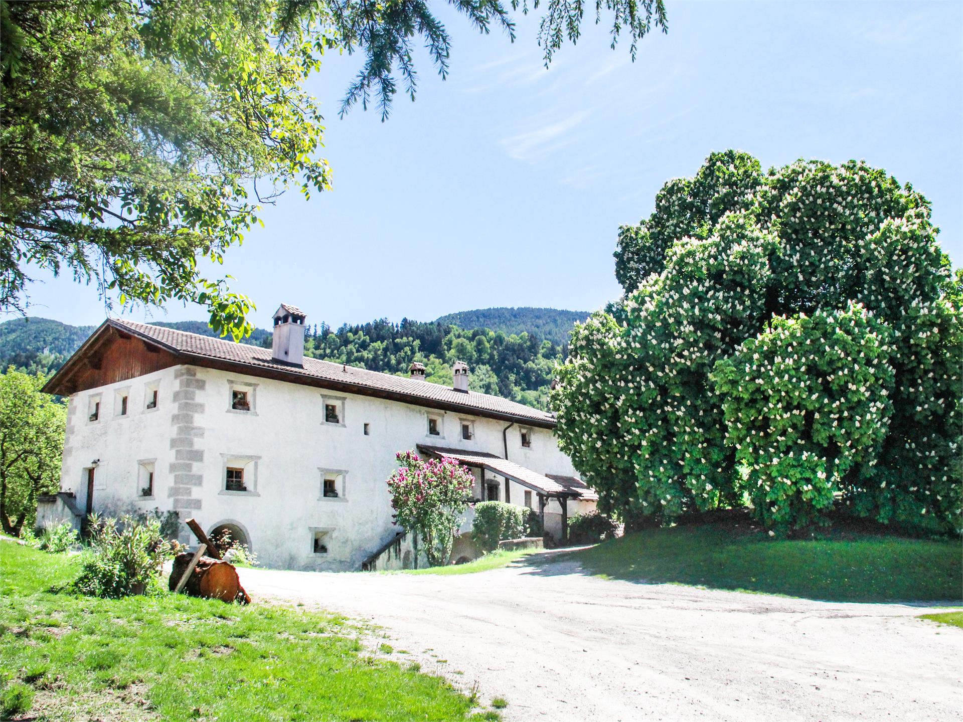 Unterfinser Hof Lajen 20 suedtirol.info