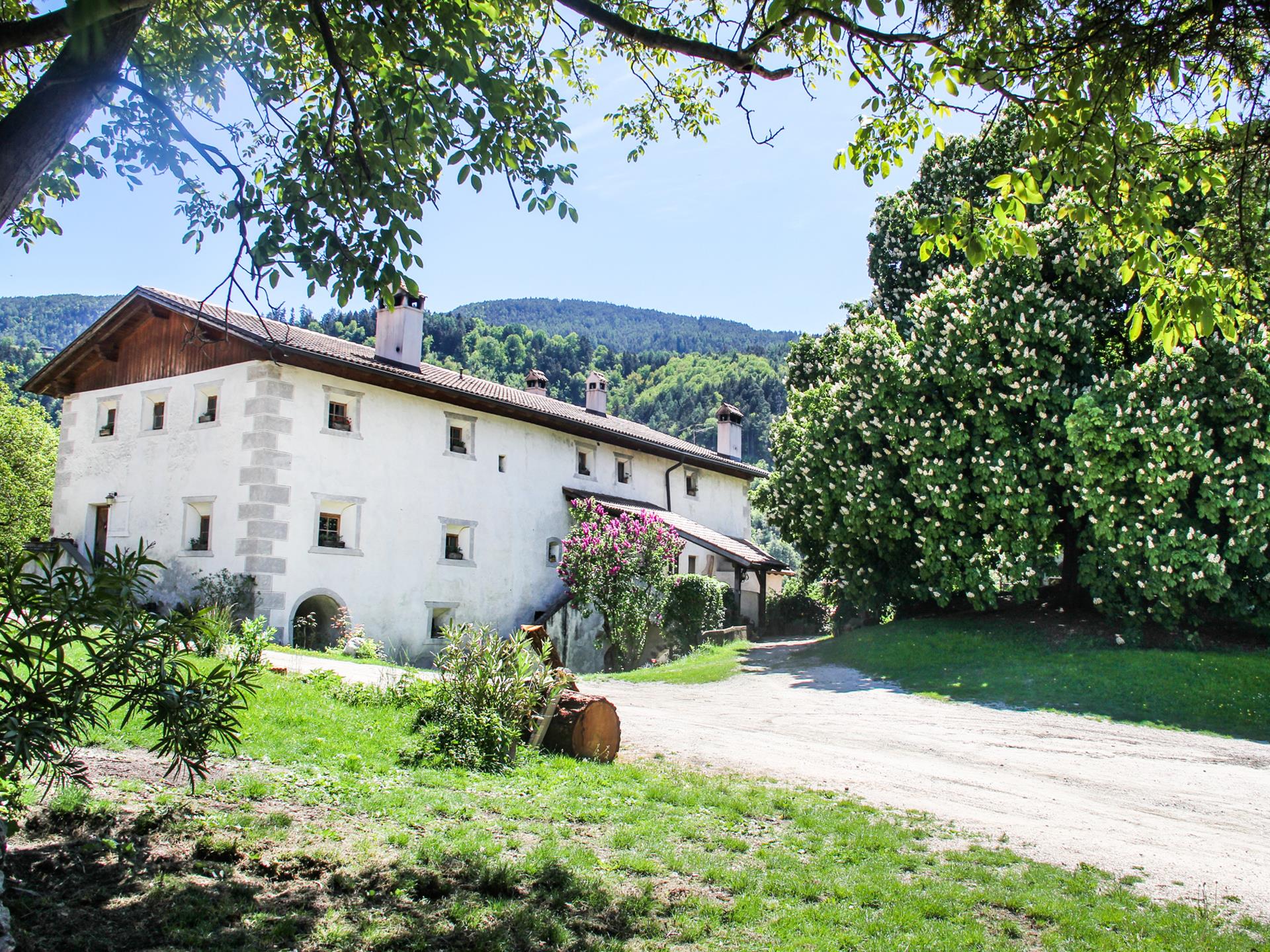 Unterfinser Hof Lajen 2 suedtirol.info