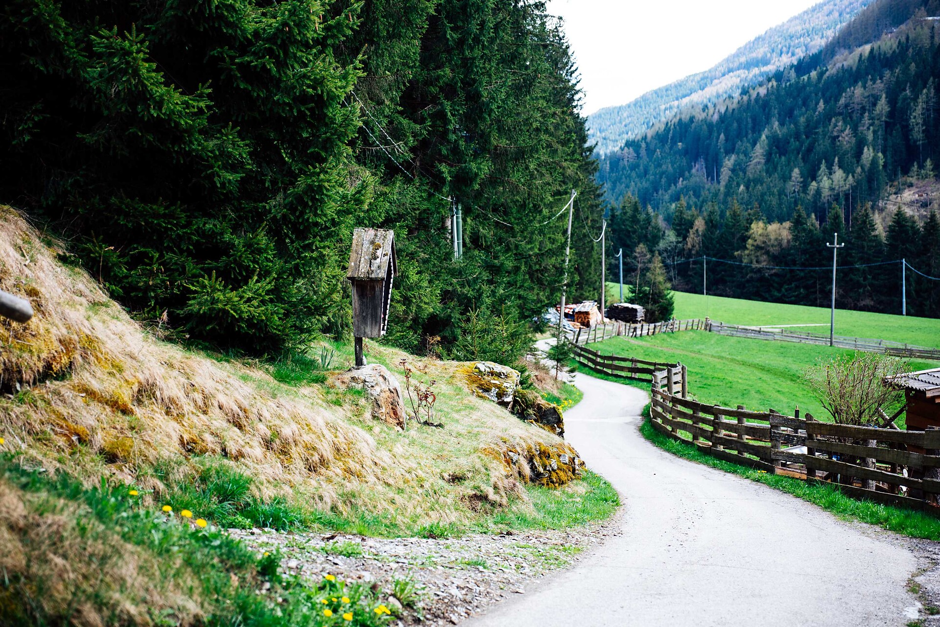 Aussicht