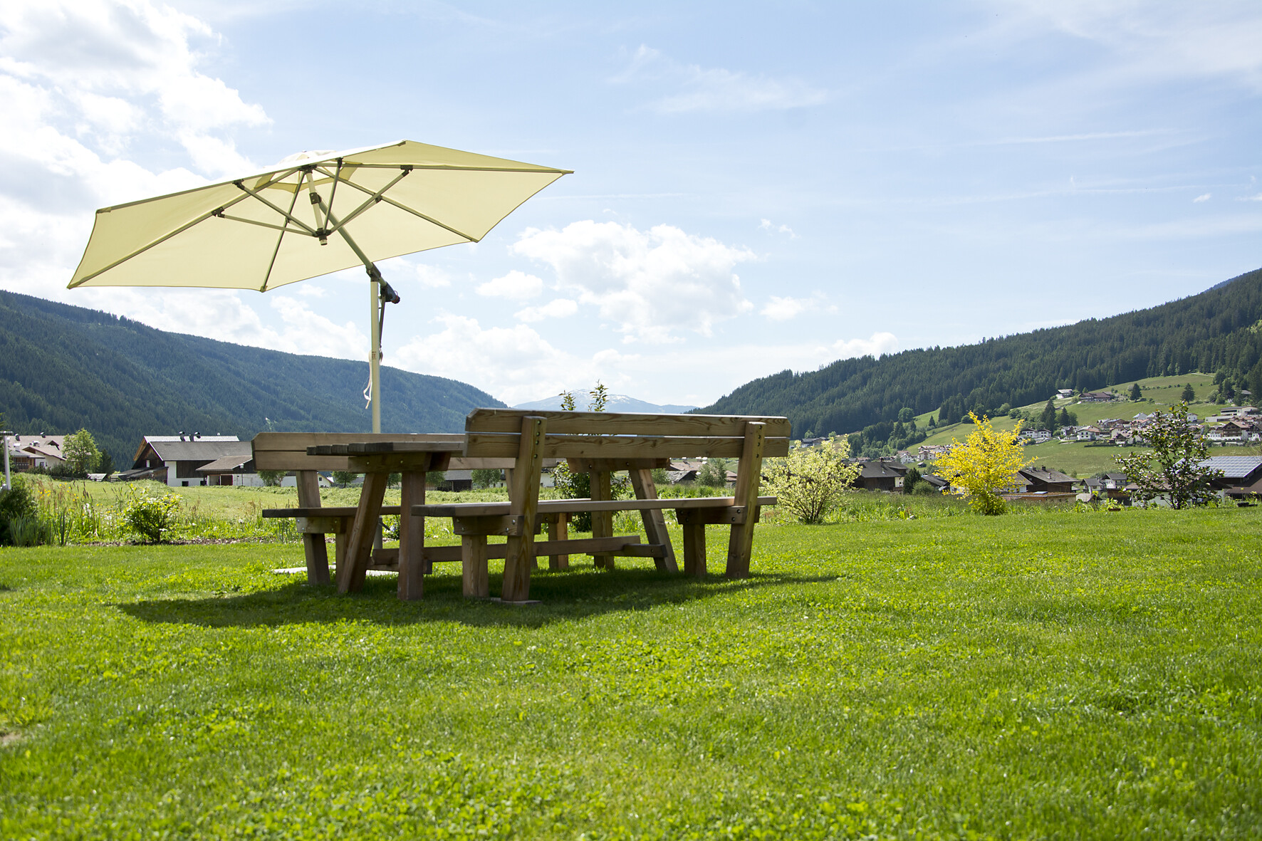 In unserem Garten