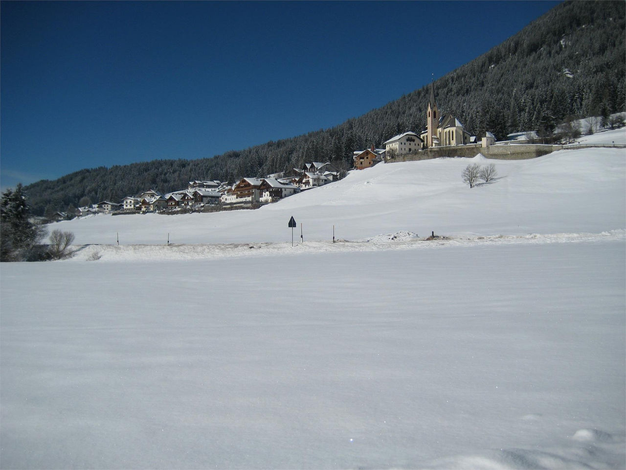 Slide 8