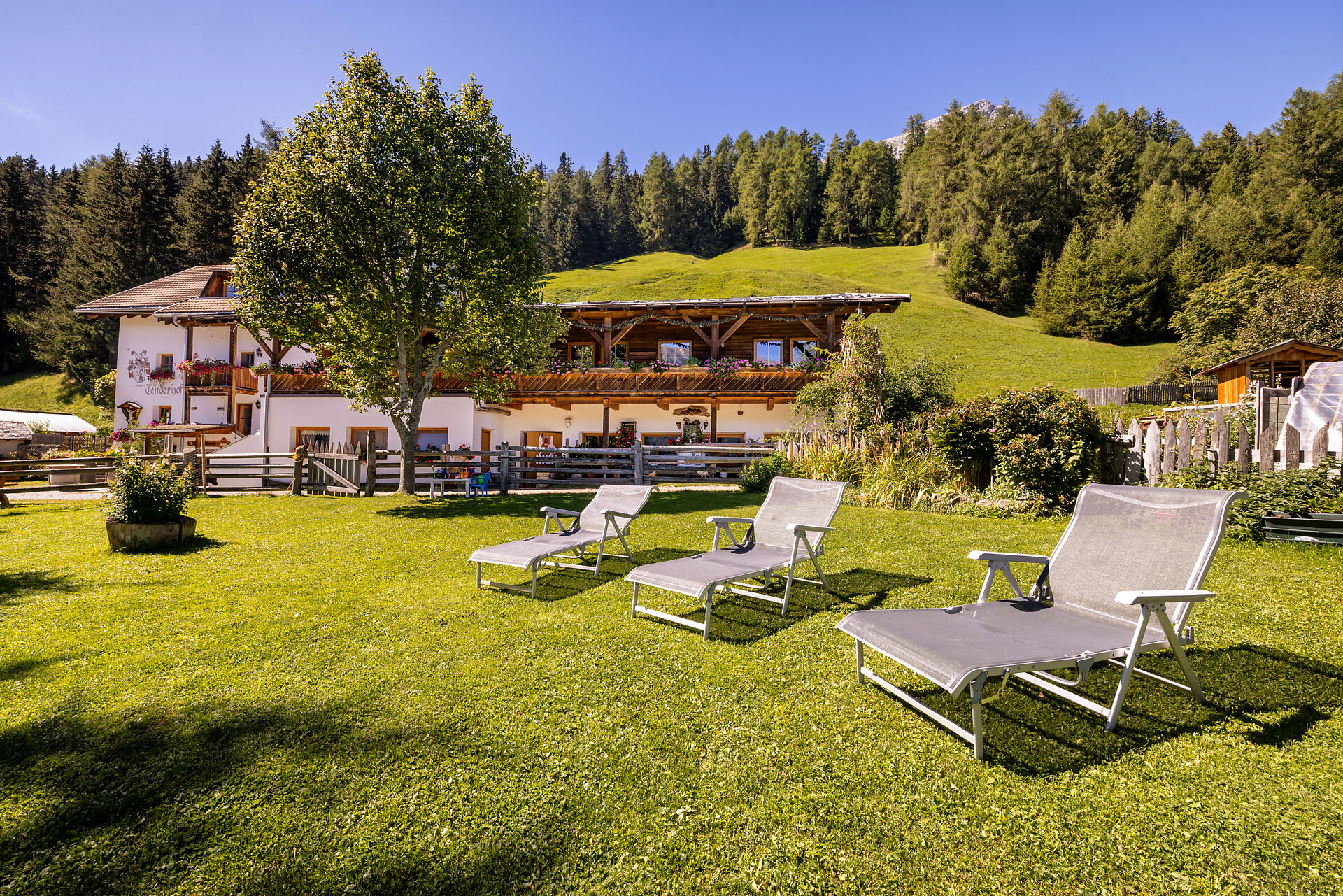 Agritourism Tendershof Graun im Vinschgau/Curon Venosta 8 suedtirol.info