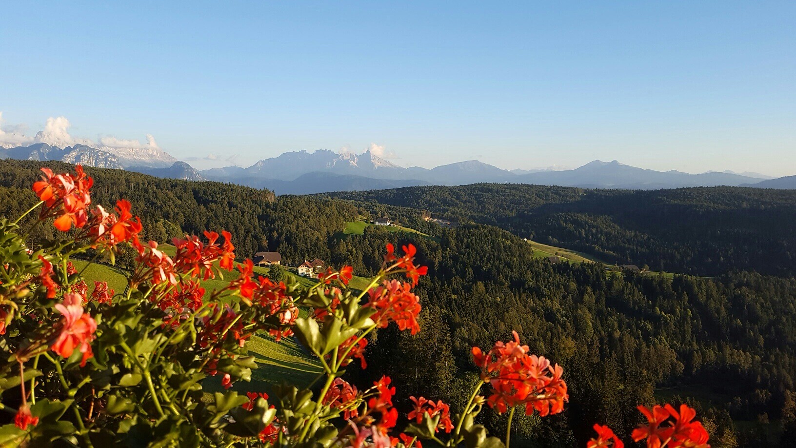 Untertreidnerhofn, panorama to the Dolomites