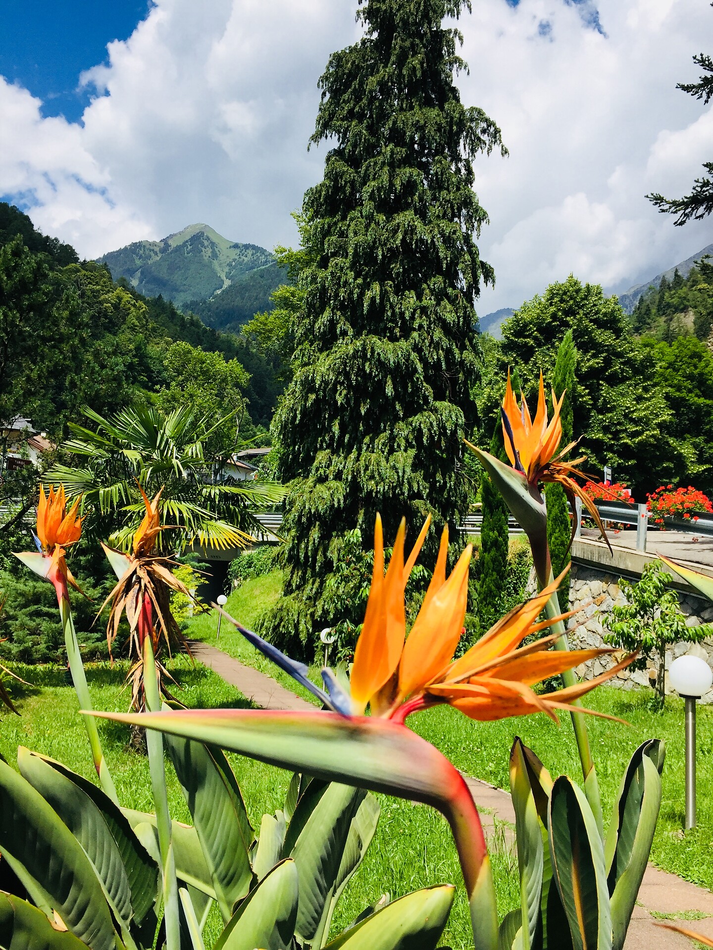 Agriturismo Tannerhof