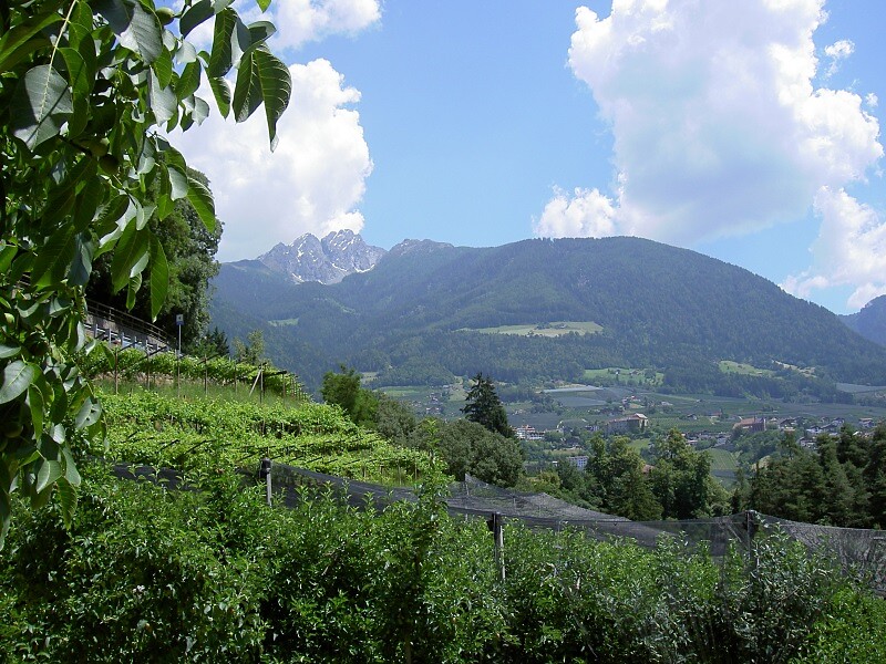 Vista panoramica