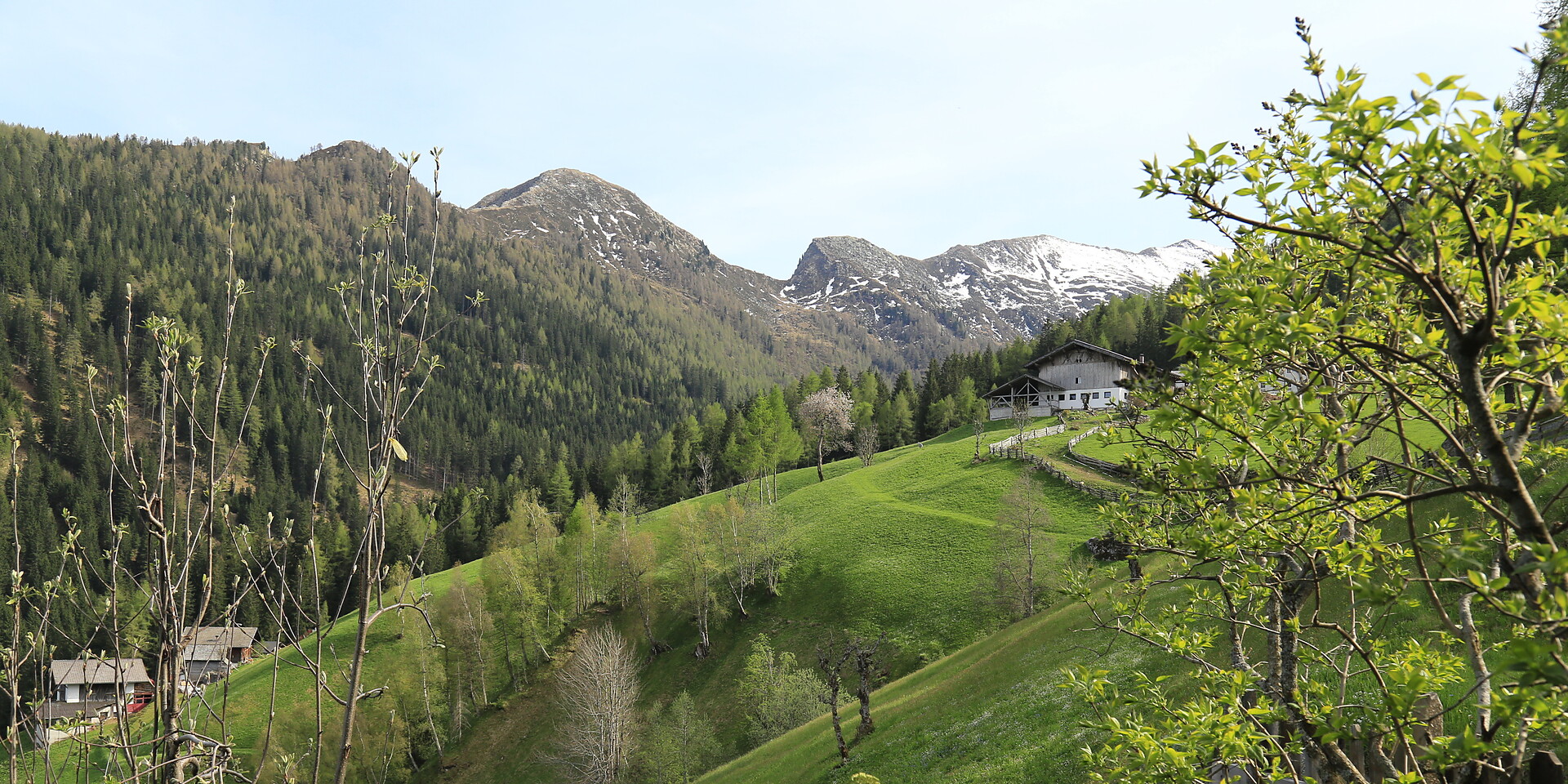 sud