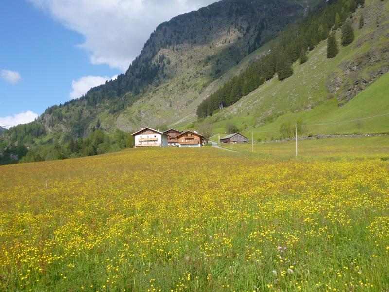 Urlaub auf dem Bauernhof Krustnerhof Moos in Passeier 2 suedtirol.info