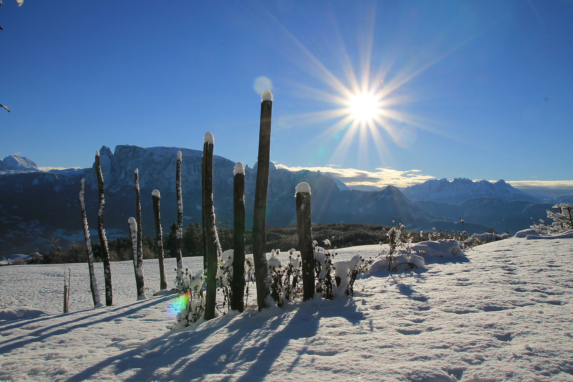 Blick vom Unterpfaffstall Hof