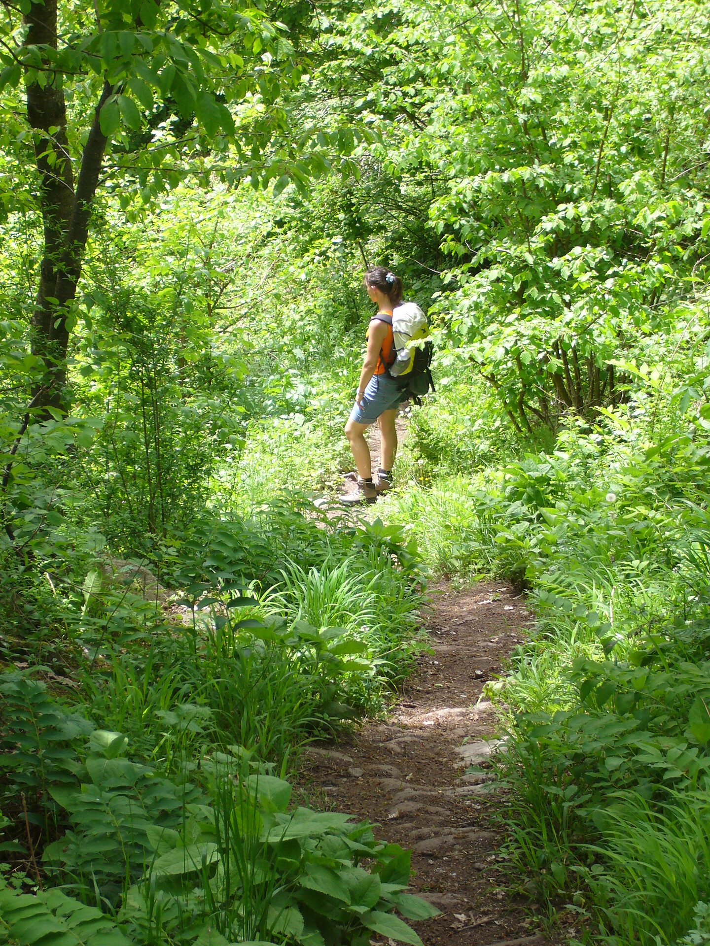 Herrlich einsame Wanderwege