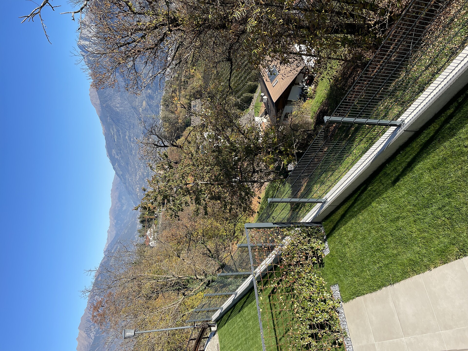 view