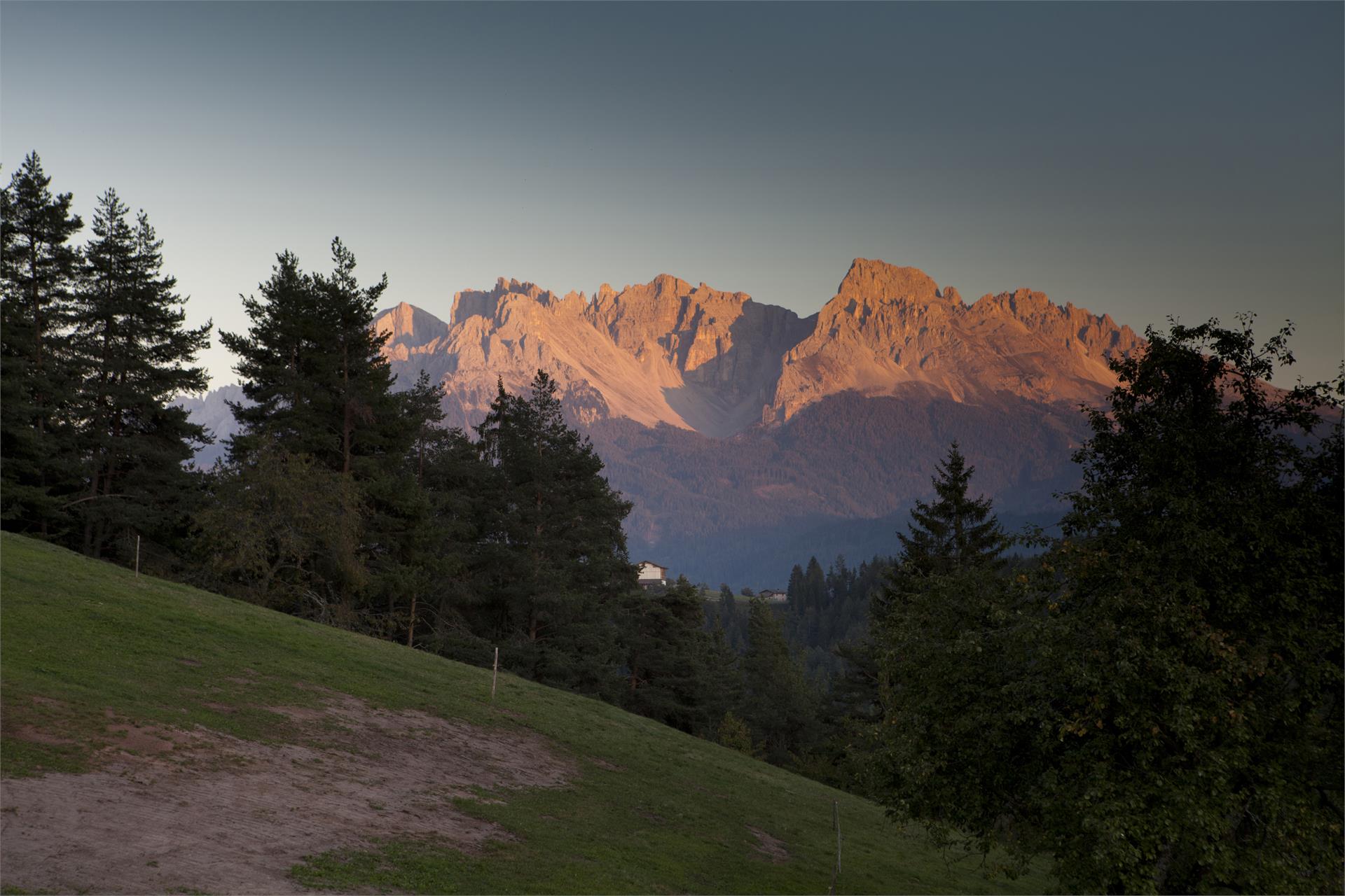Agriturismo Unterkoflhof Nova Ponente 20 suedtirol.info