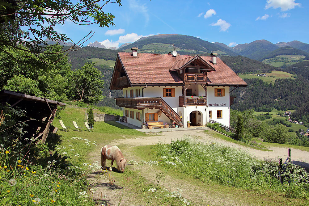 Unterplunerhof - Regione dolomitica Plan de Corones - #11 - suedtirol.info