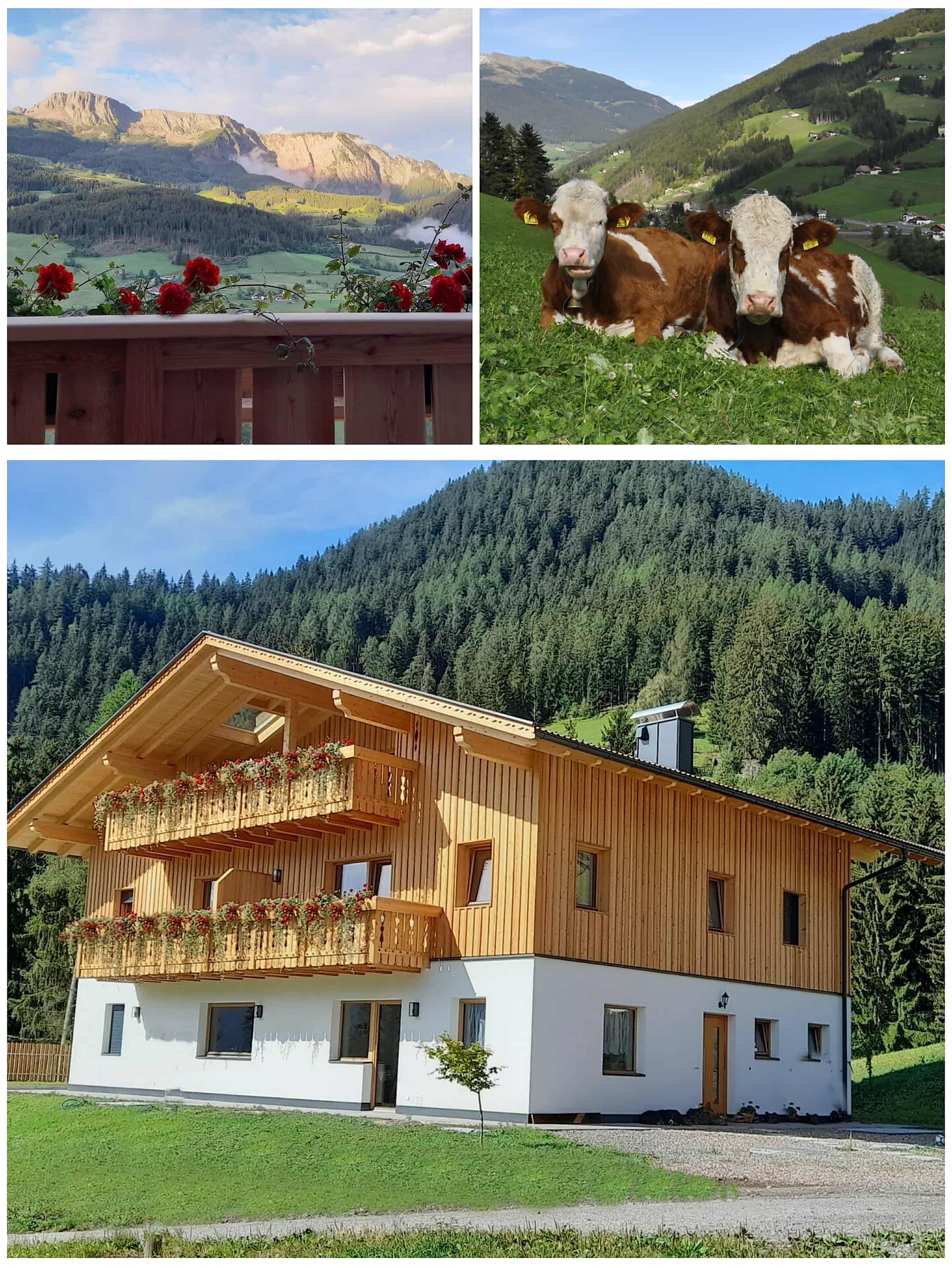 Agriturismo Mittnackerhof