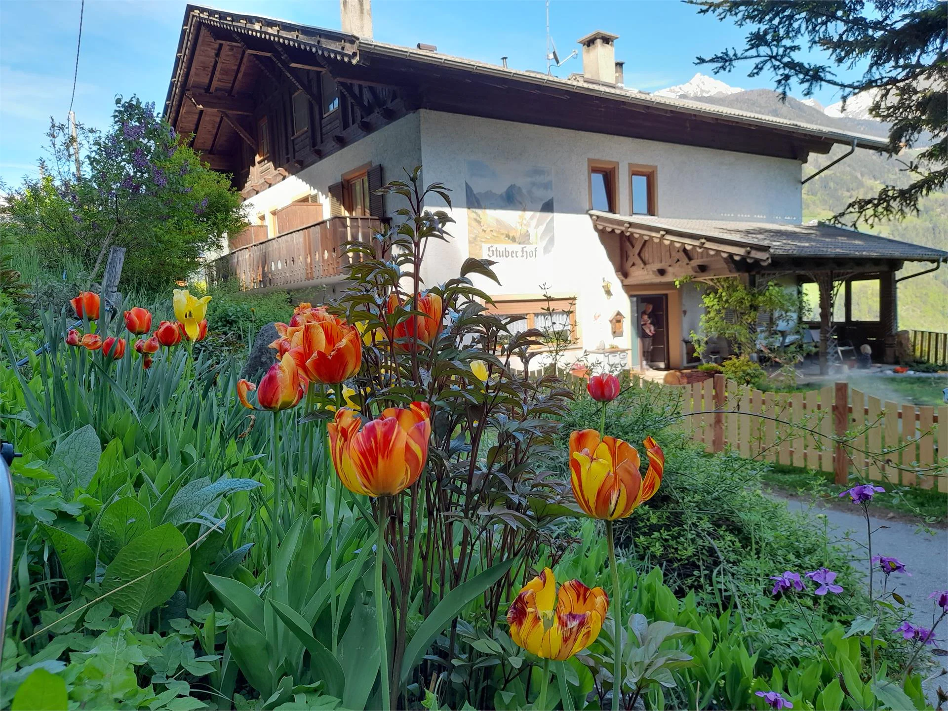 Agriturismo Stuberhof Rifiano 10 suedtirol.info