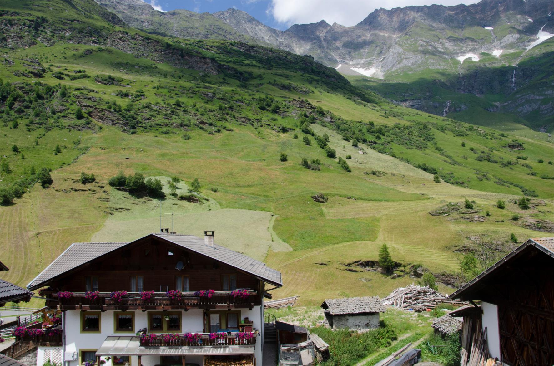 Agriturismo Seppner-Hof Moso in Passiria 13 suedtirol.info