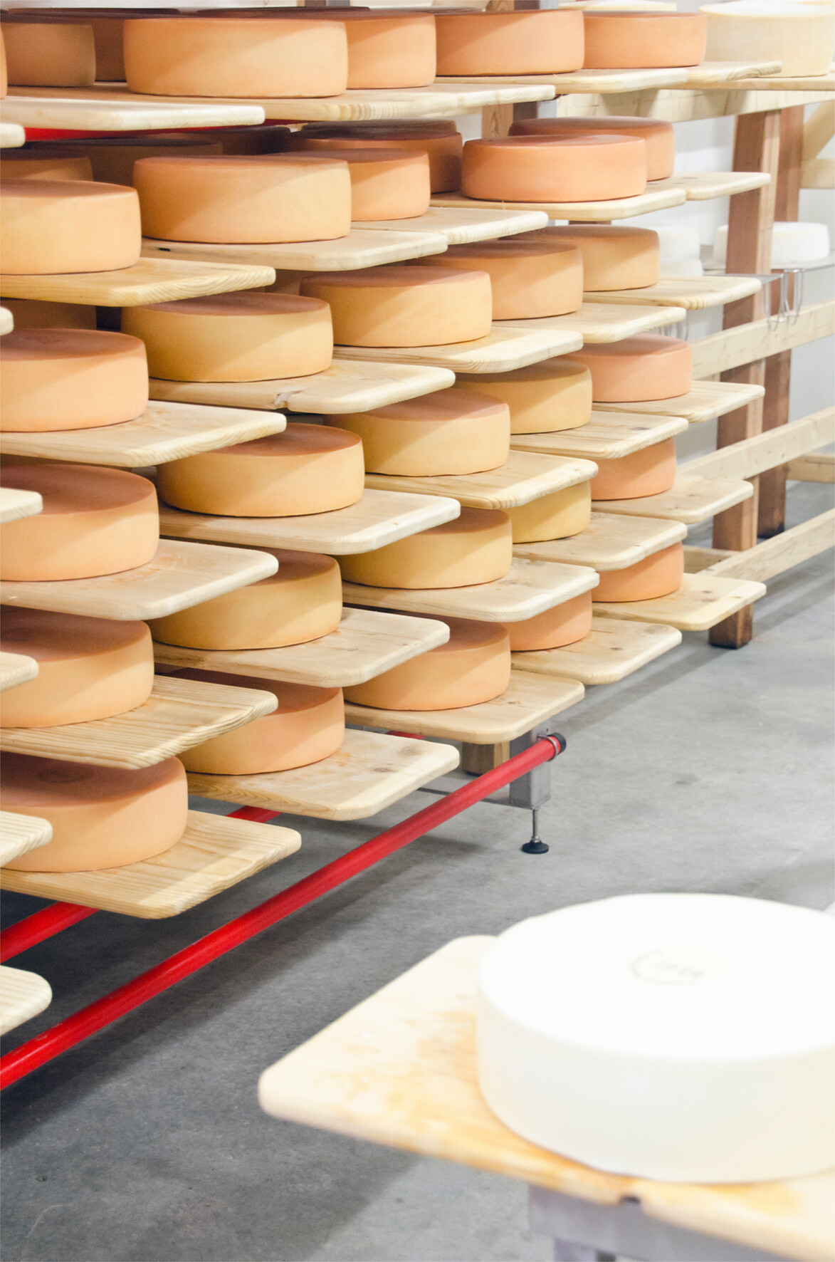 Seppner Farm Dairy