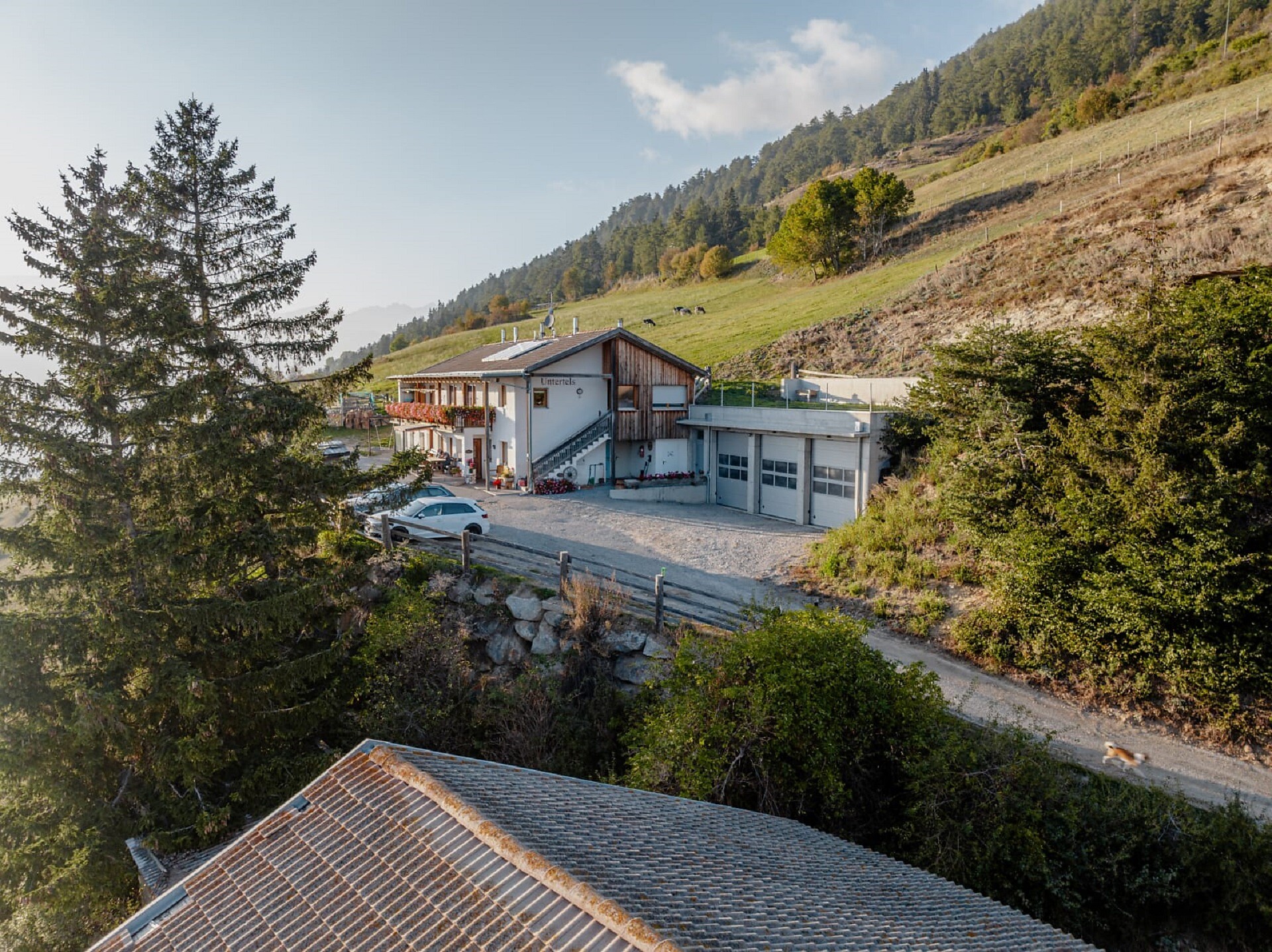 Agriturismo Maso Untertels Sluderno 3 suedtirol.info