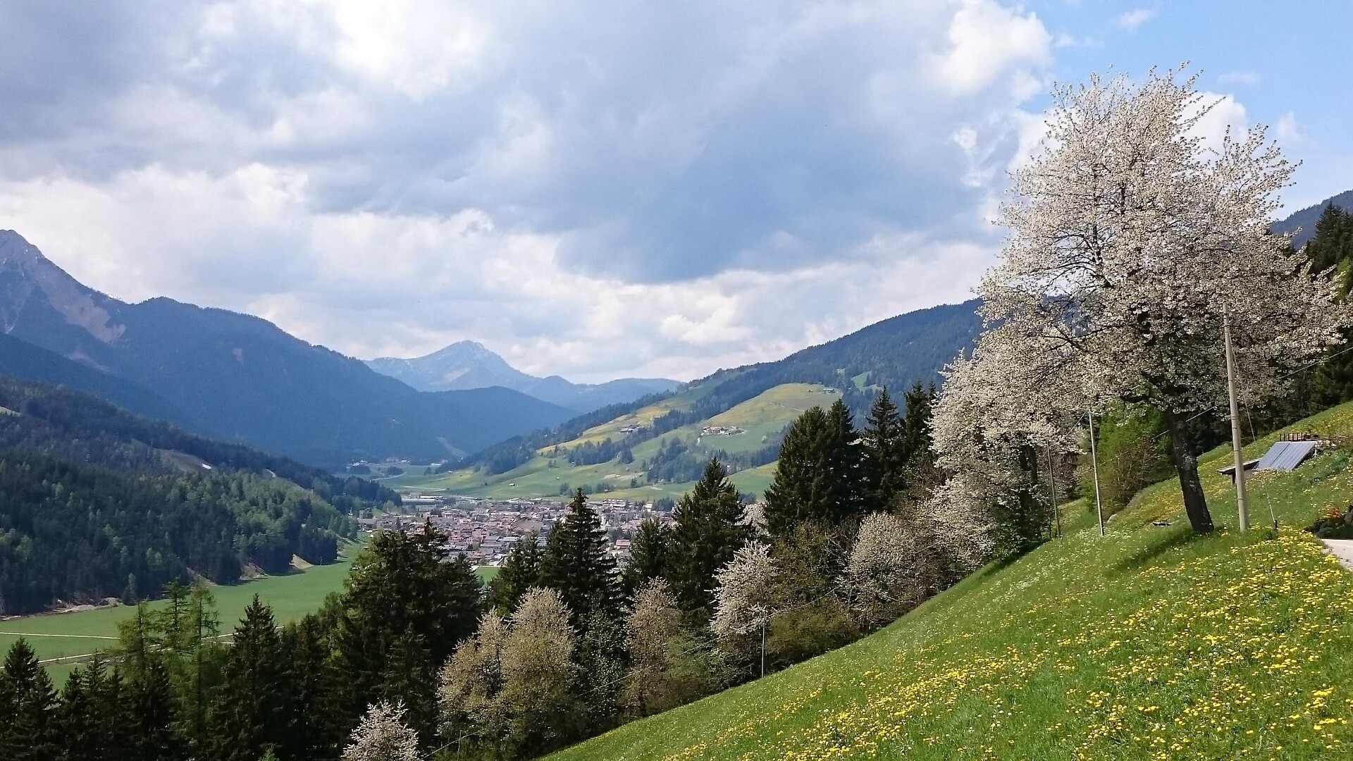 Risveglio di primavera