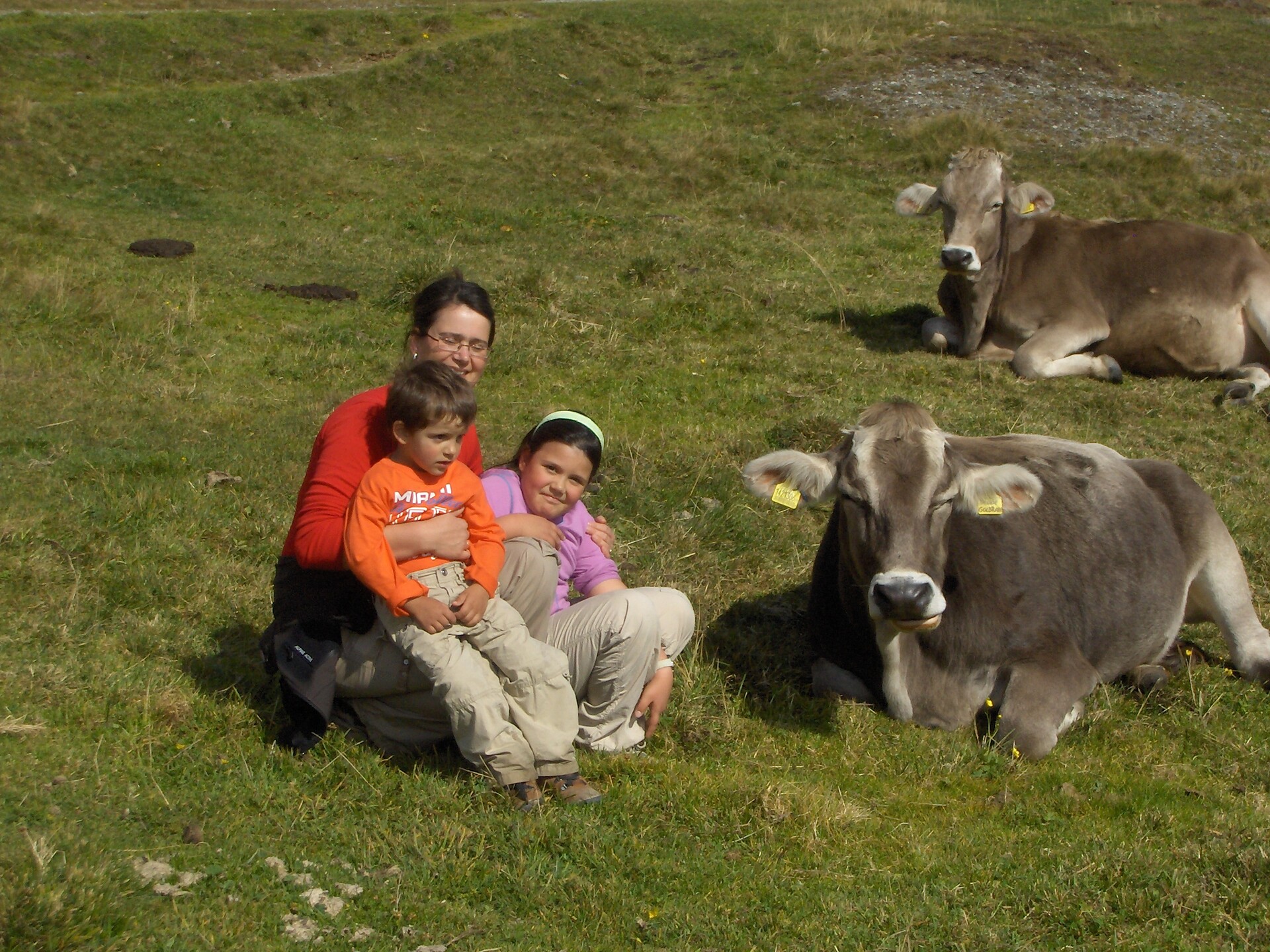 Alla malga