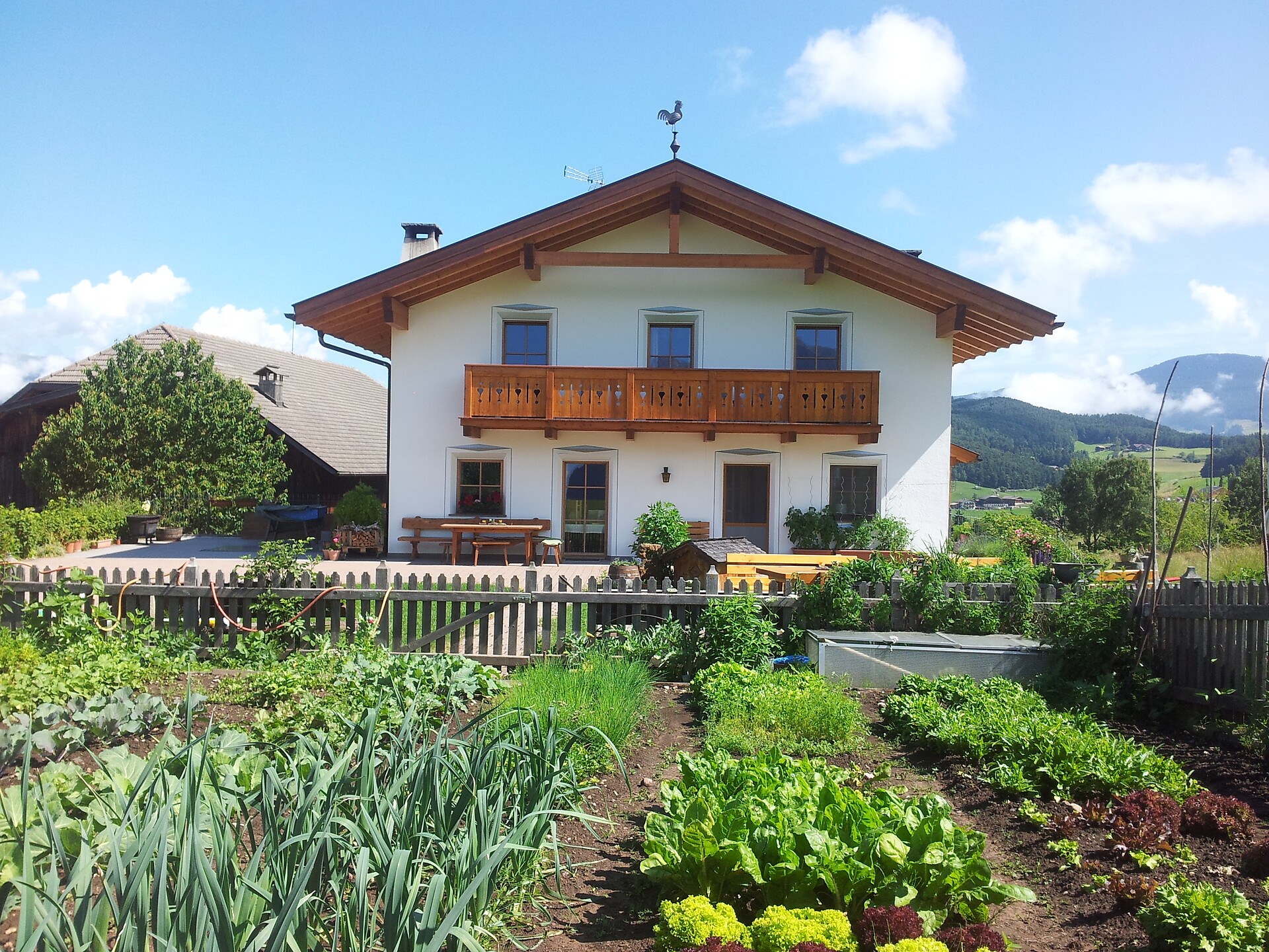 Der Bauerngarten