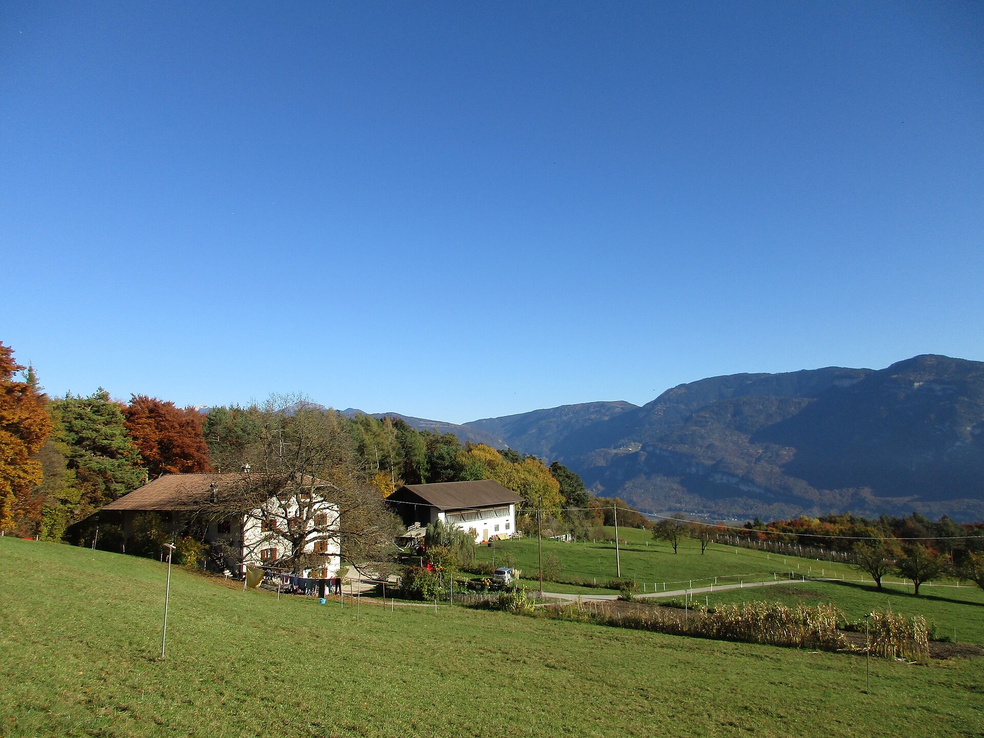 Hinteransicht