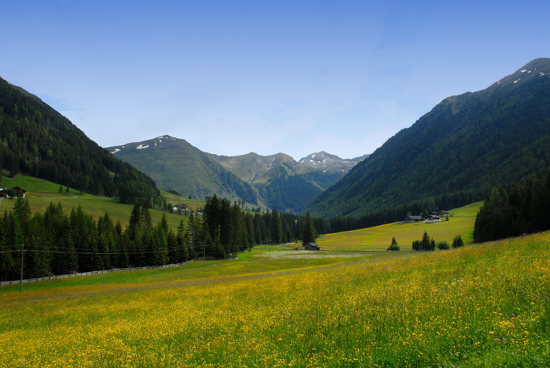 Feel the beauty of the nature