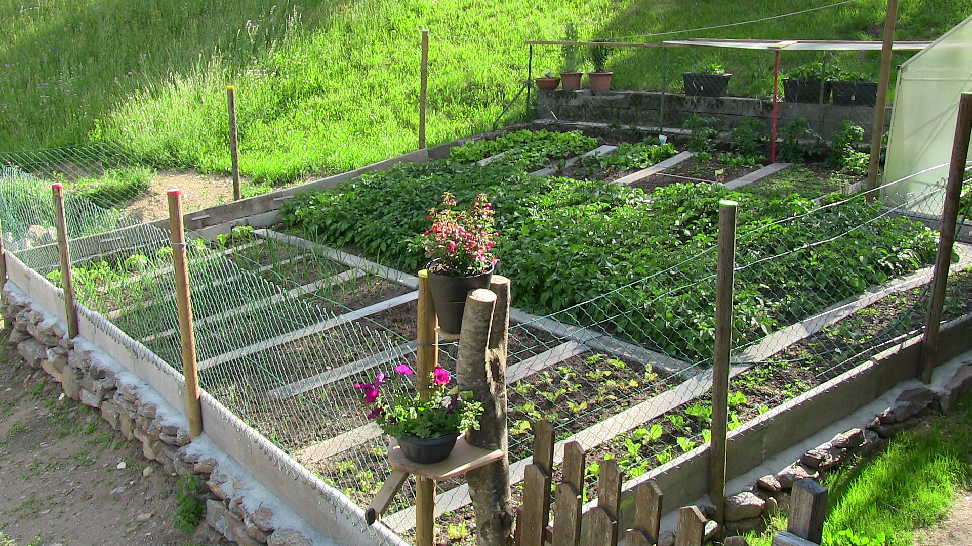 Urlaub auf dem Bauernhof Innergasserhof