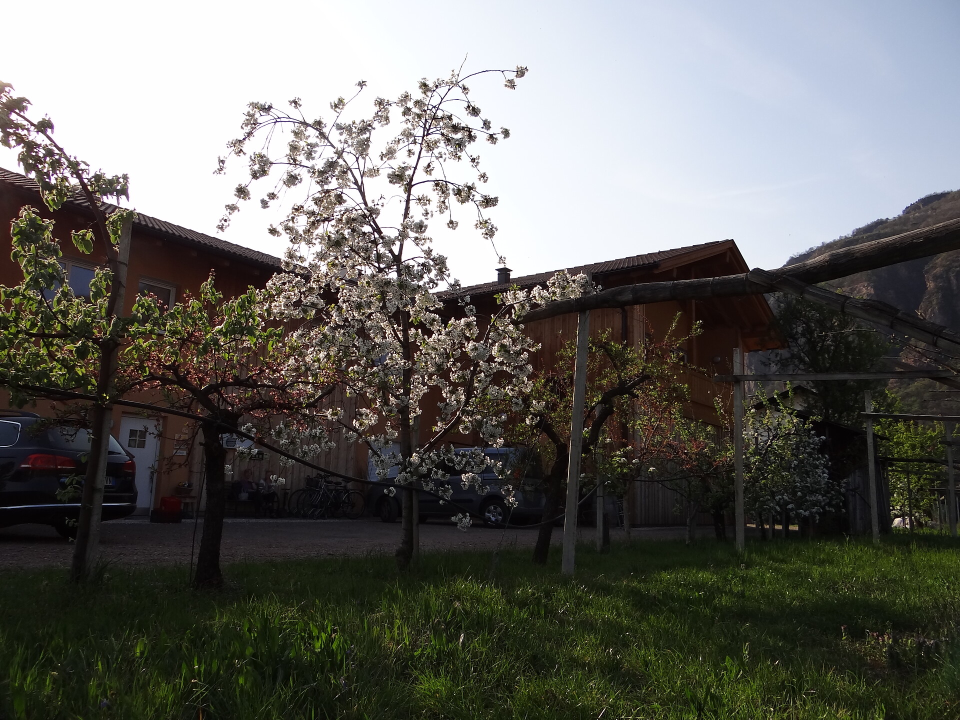 Urbanhof im Prantenbergergut 2017