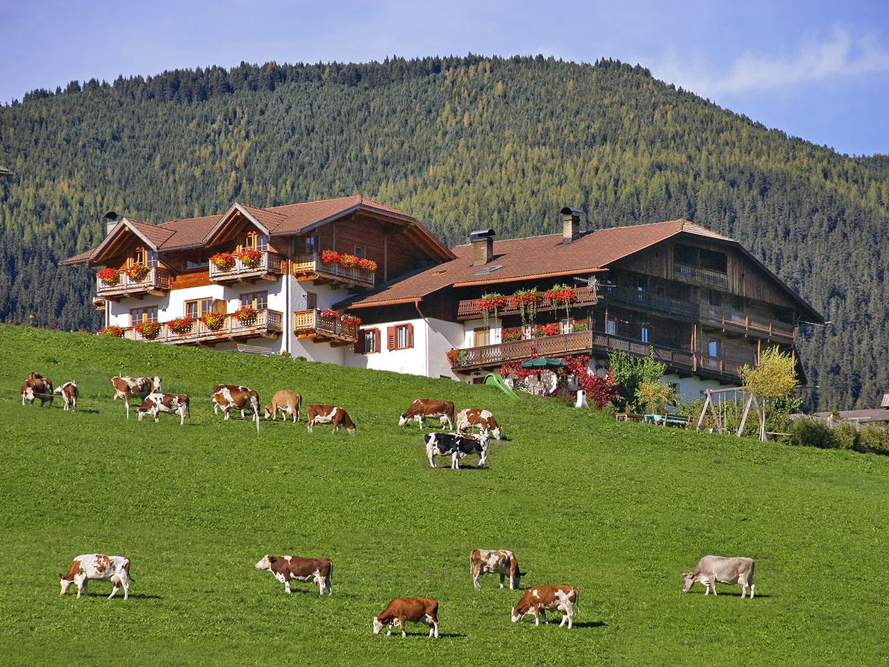 Unterguggenberghof Welsberg-Taisten/Monguelfo-Tesido 13 suedtirol.info