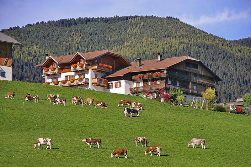 Urlaub am Bauernhof
