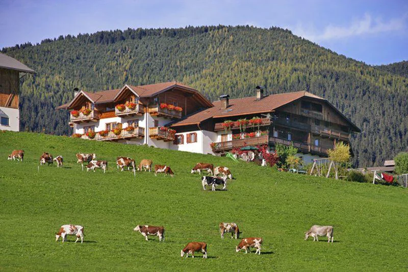 Unterguggenberghof Welsberg-Taisten/Monguelfo-Tesido 5 suedtirol.info
