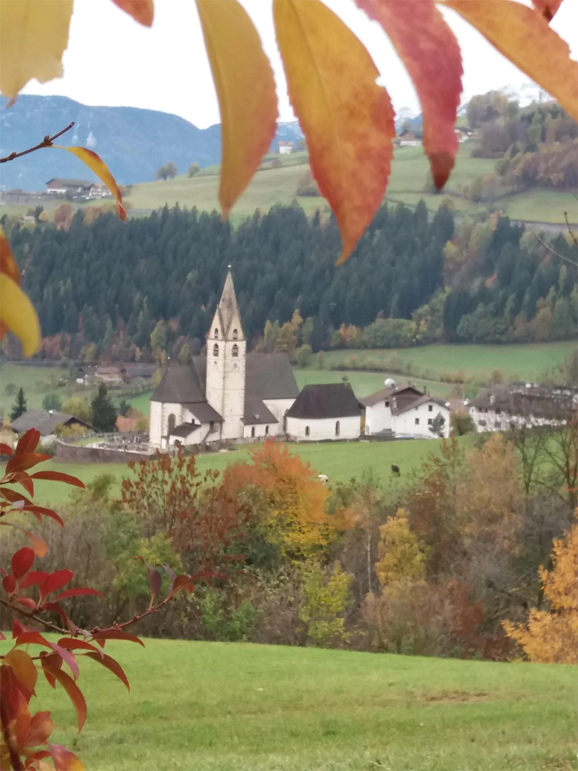 Maso Unterstrommer Meltina 4 suedtirol.info