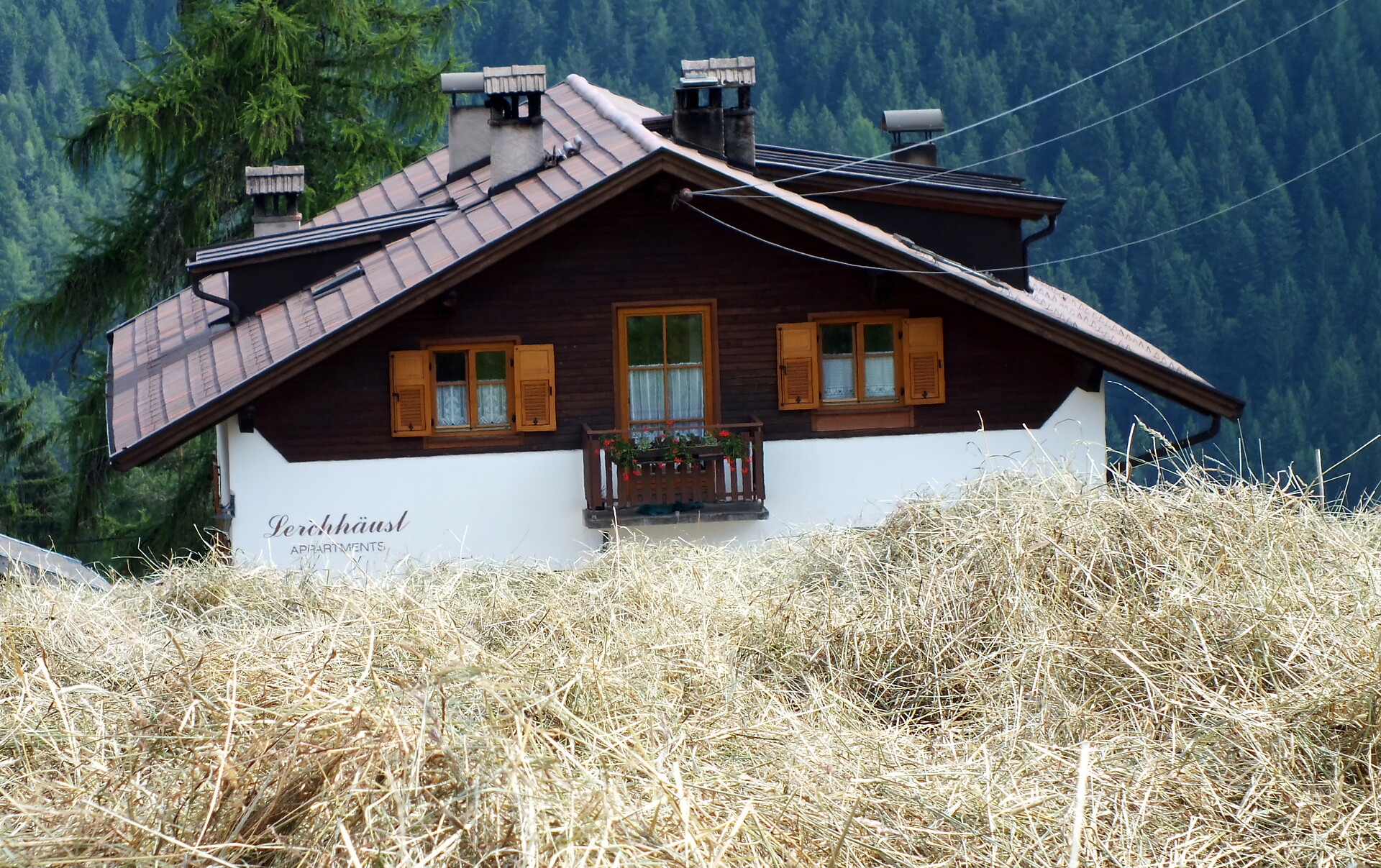 U.a.B. Lerchhäusl Deutschnofen 9 suedtirol.info