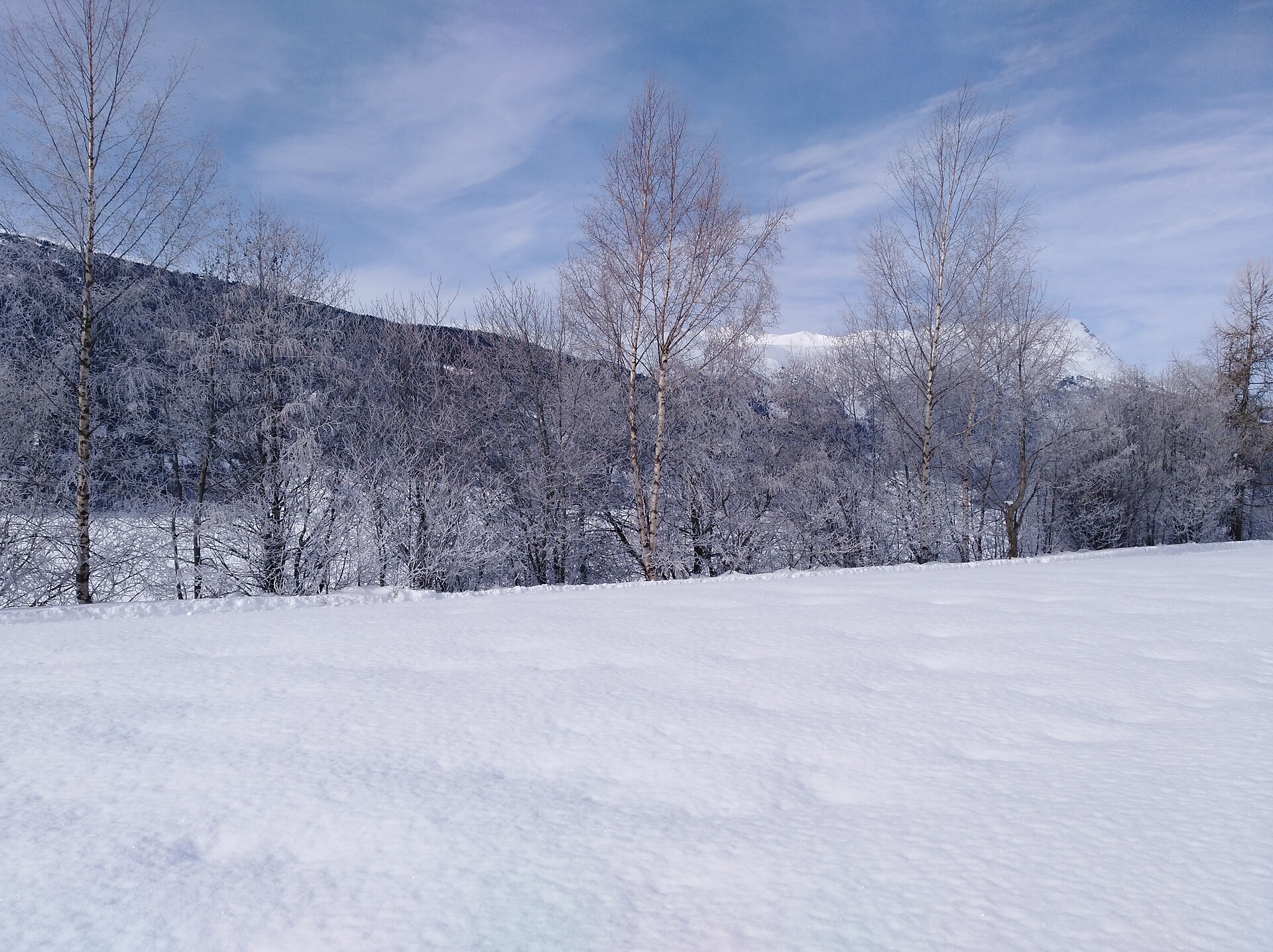 neve