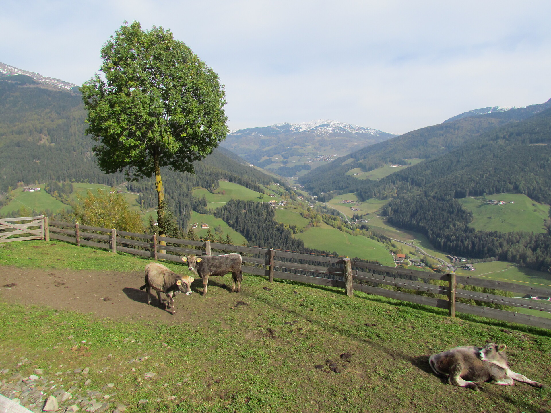 View