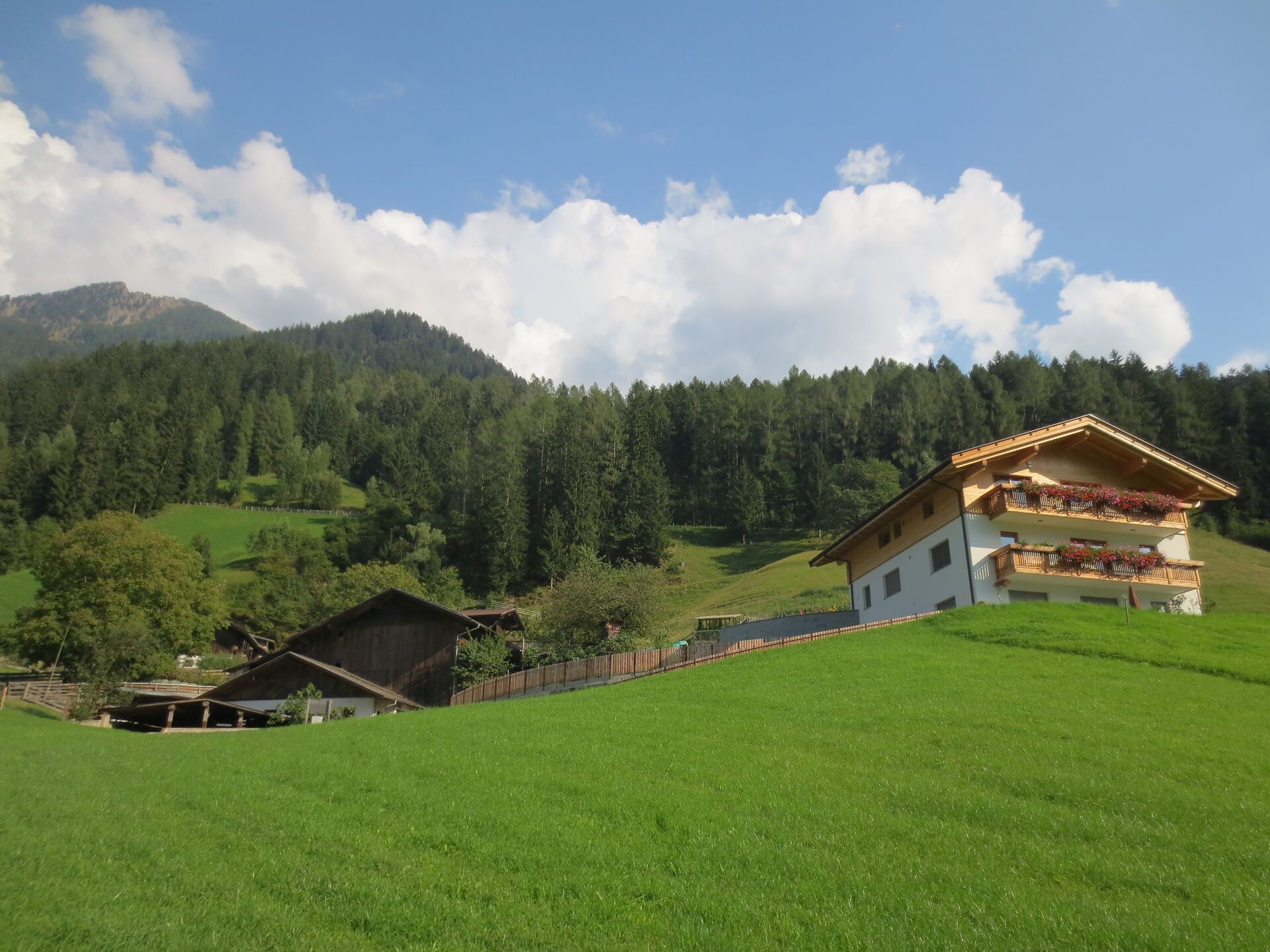 Urlaub auf dem Bauernhof Unterhasnebenhof