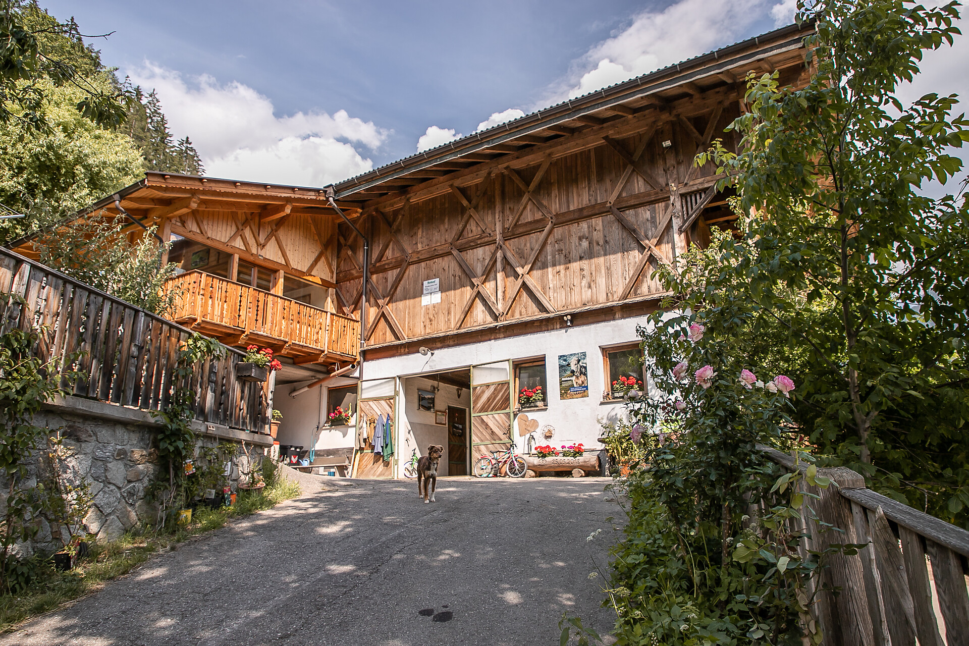 Urlaub auf dem Bauernhof Niedersteinhof