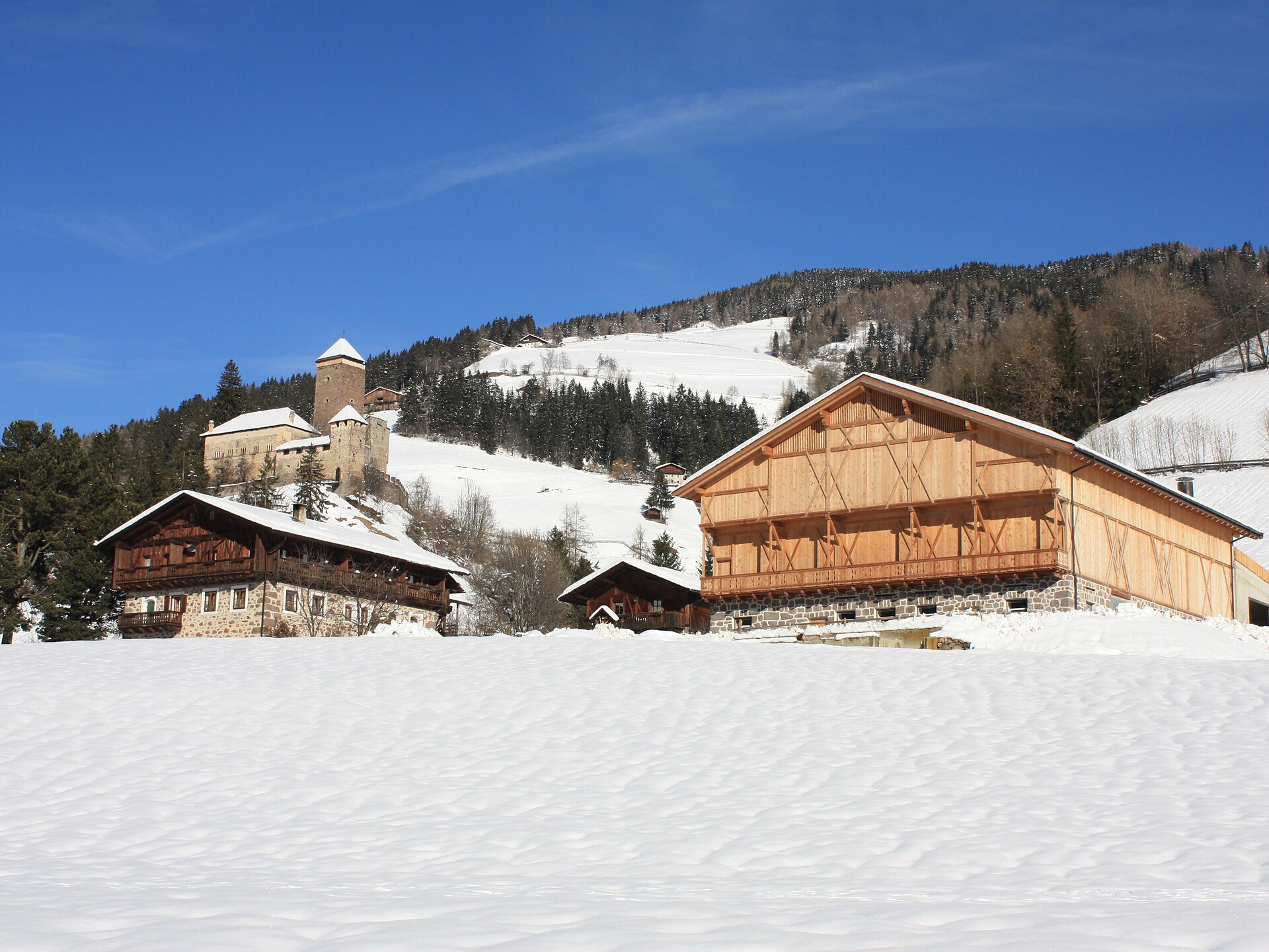 Farm Holiday Niederhauserhof, Val Sarentino/Sarntal Valley, South Tyrol