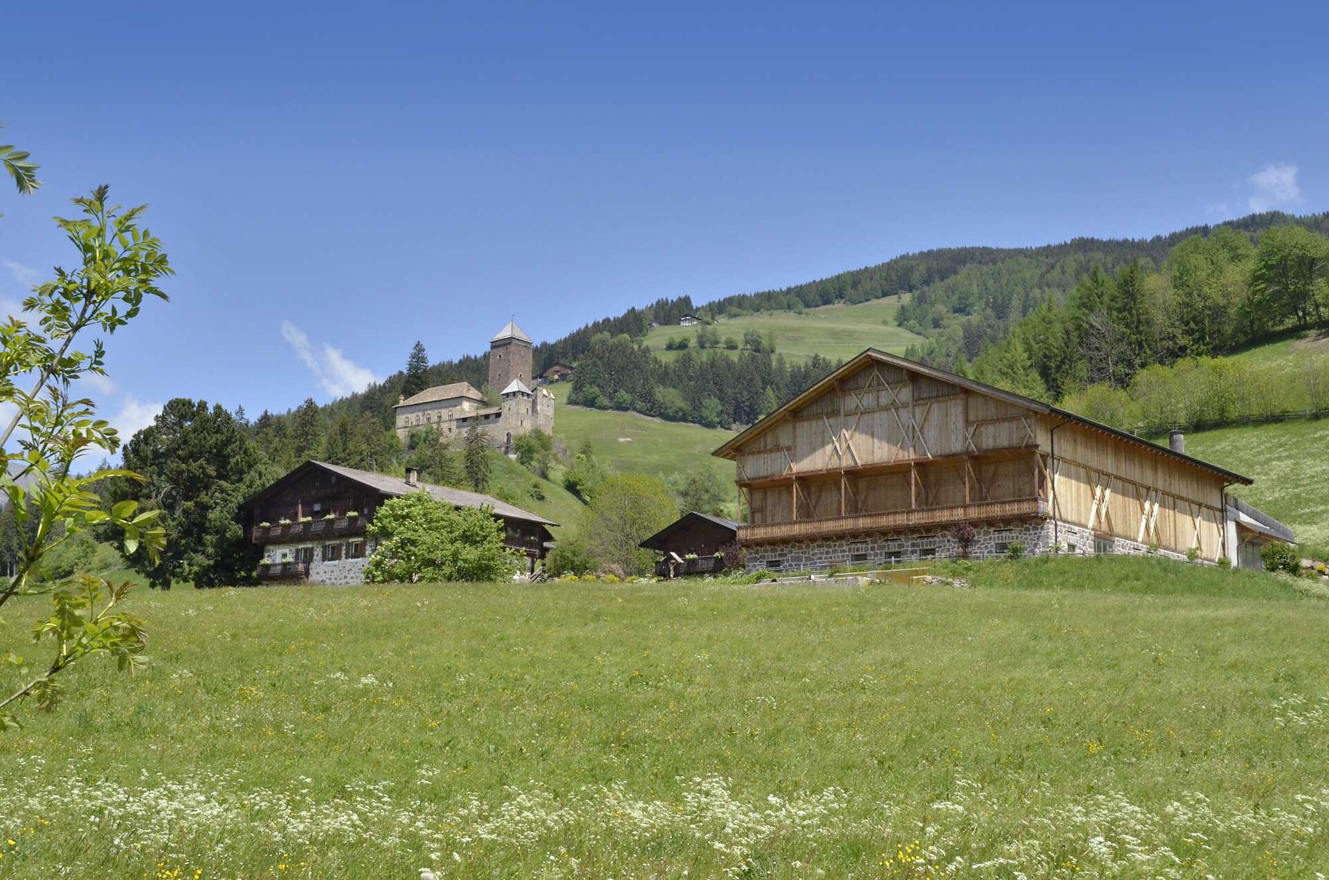 Agriturismo Niederhauserhof Sarentino 1 suedtirol.info